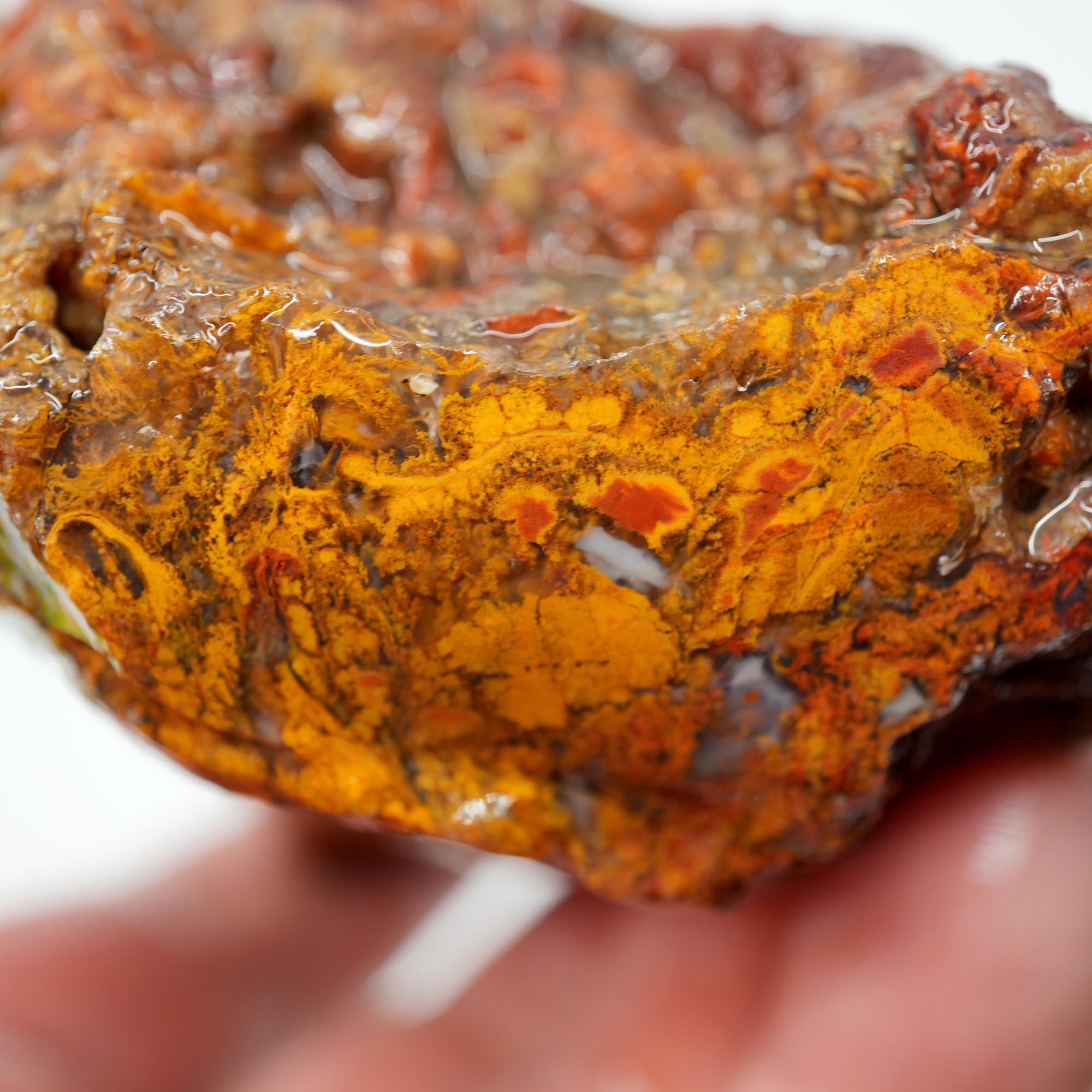San Carlos Agate Rough - Light Golden Moss with Plume-Like Structures