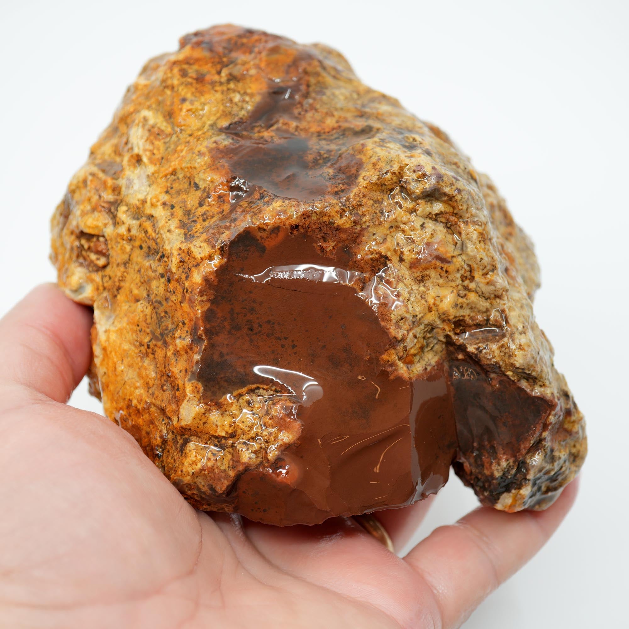 White Fir Springs Thunderegg Rough - Old Stock Chocolate Coloration