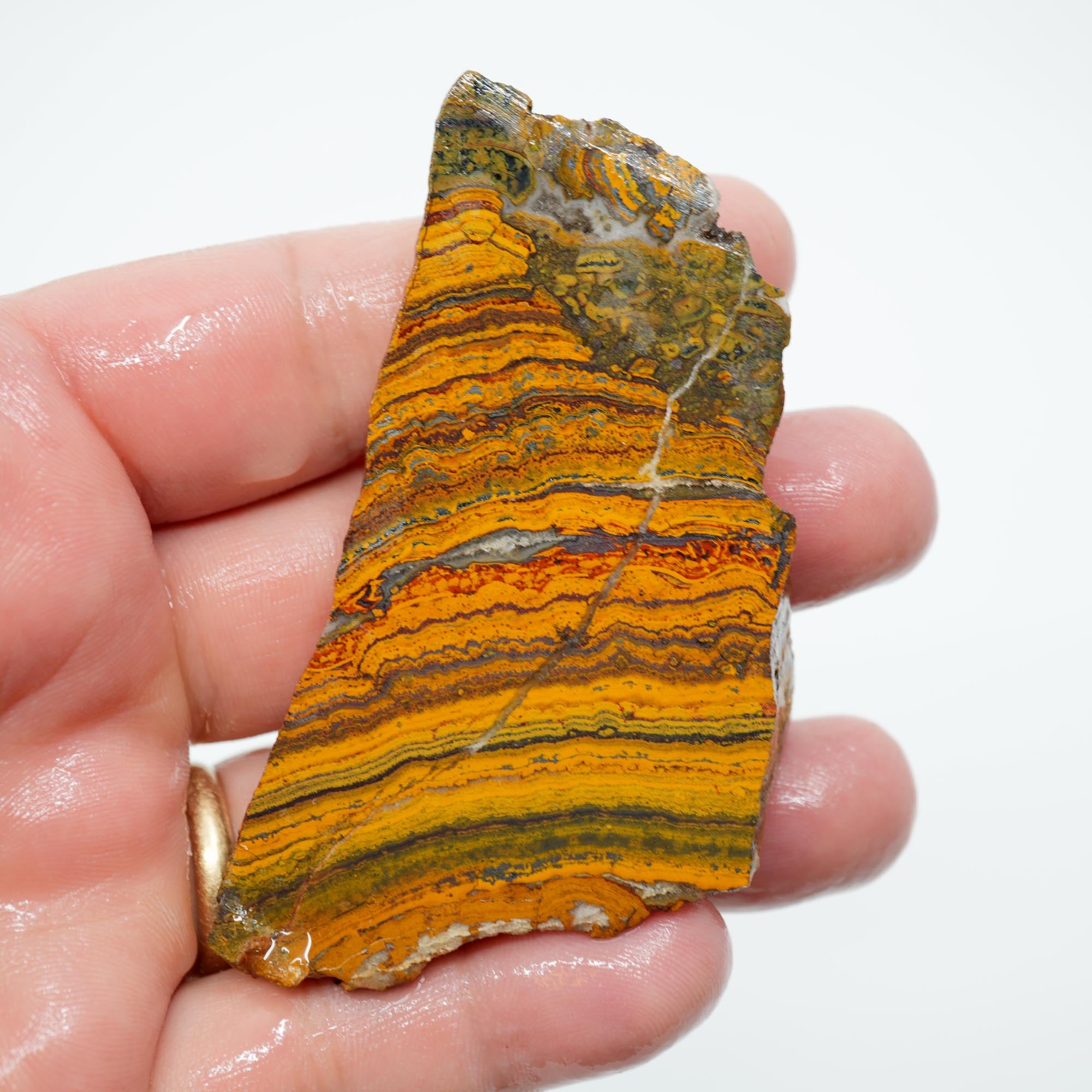 Apple Valley Jasper Endcut - Wavy Stromatolite Pattern Sahara