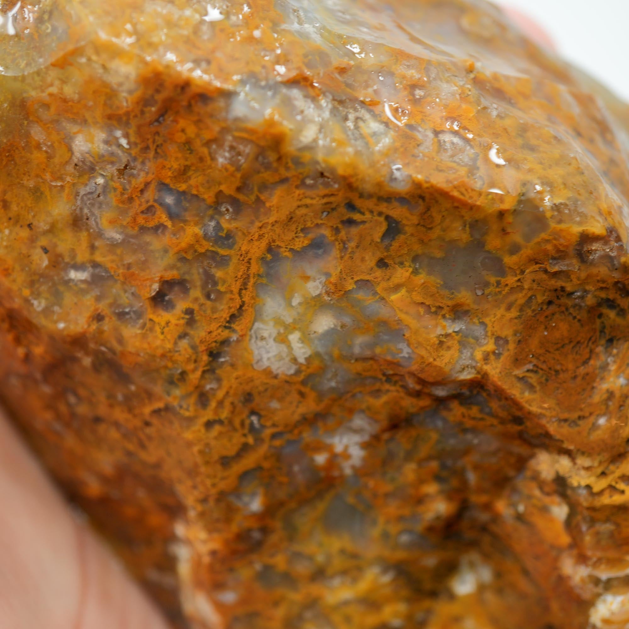 Eagle Rock Plume Agate Rough - Old Stock Caramel Moss Cutter No Rhyolite