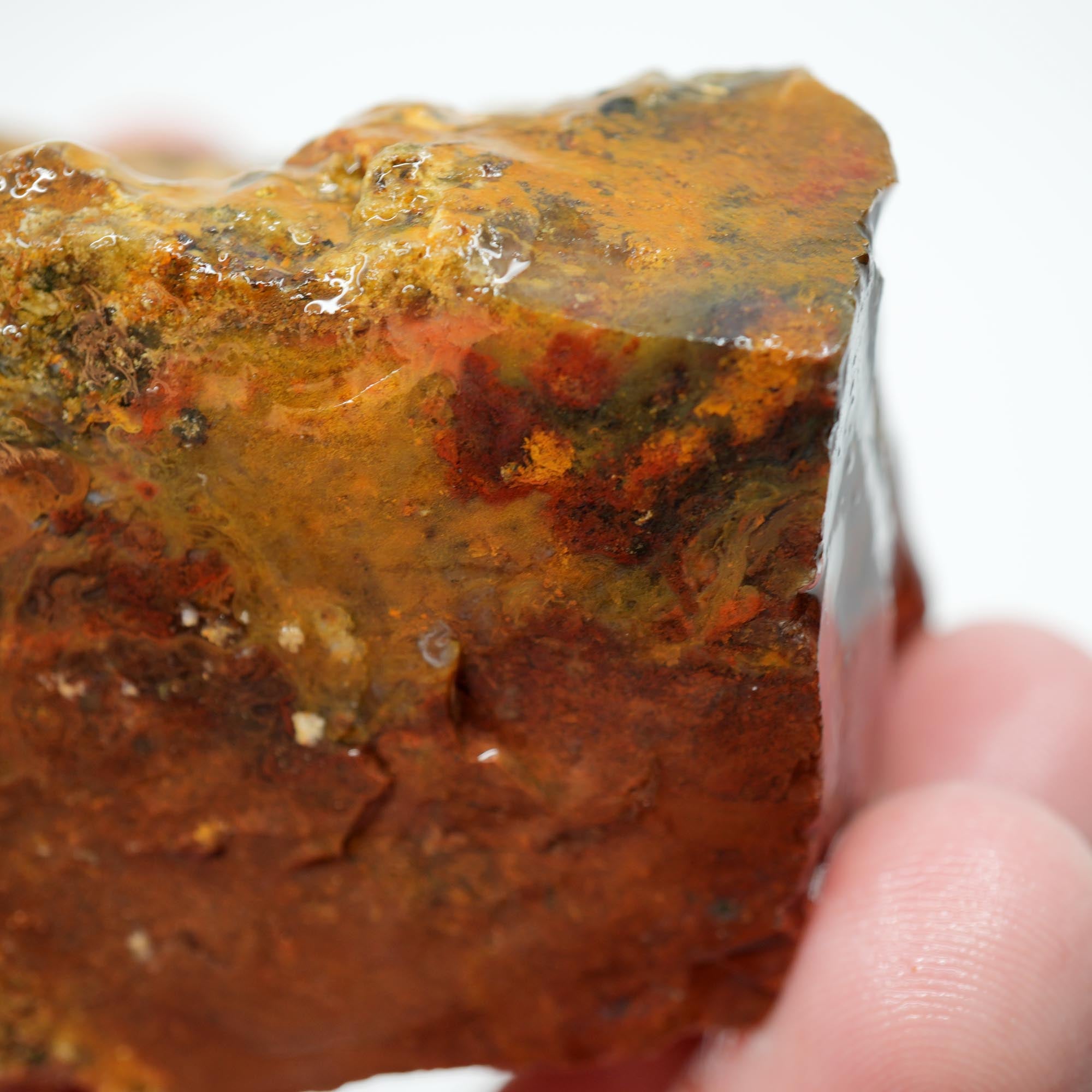 Carey Plume Agate Rough - Old Stock Bright Red with Rhyolite Trimmer
