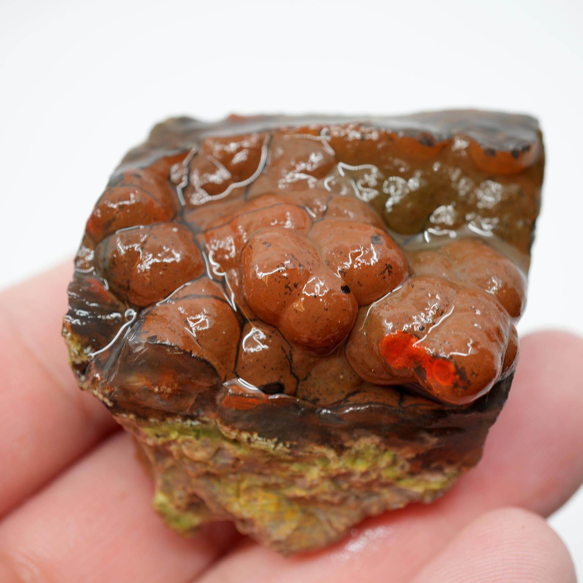 Mystery Broken Thunderegg Rough - Botryoidal Center with Plume-Like Structures