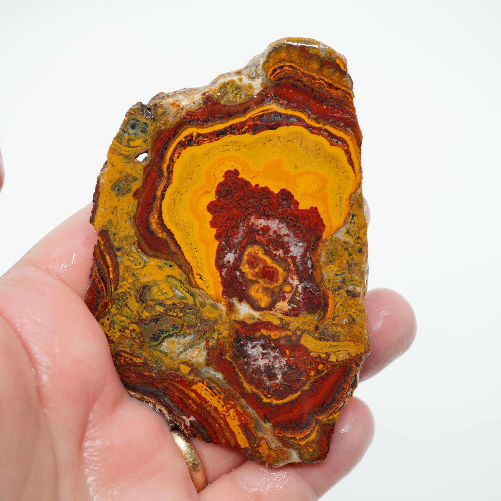Apple Valley Jasper Endcut - Hematite Flowers with Druzy and Golden Plume Clouds