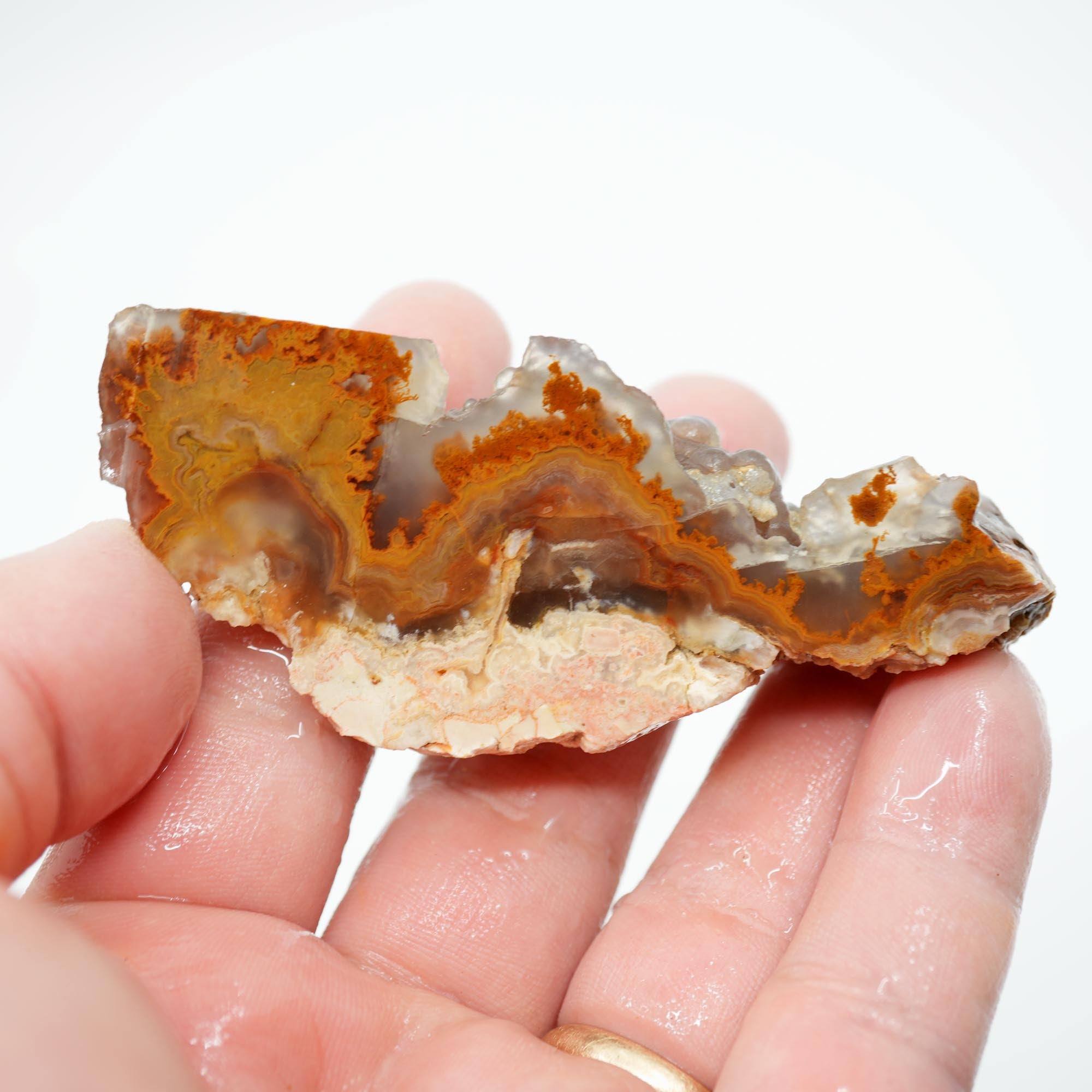 Lysite Agate Cut Endcut - Old Stock Rolling Plume with Blue Agate Botryoidal