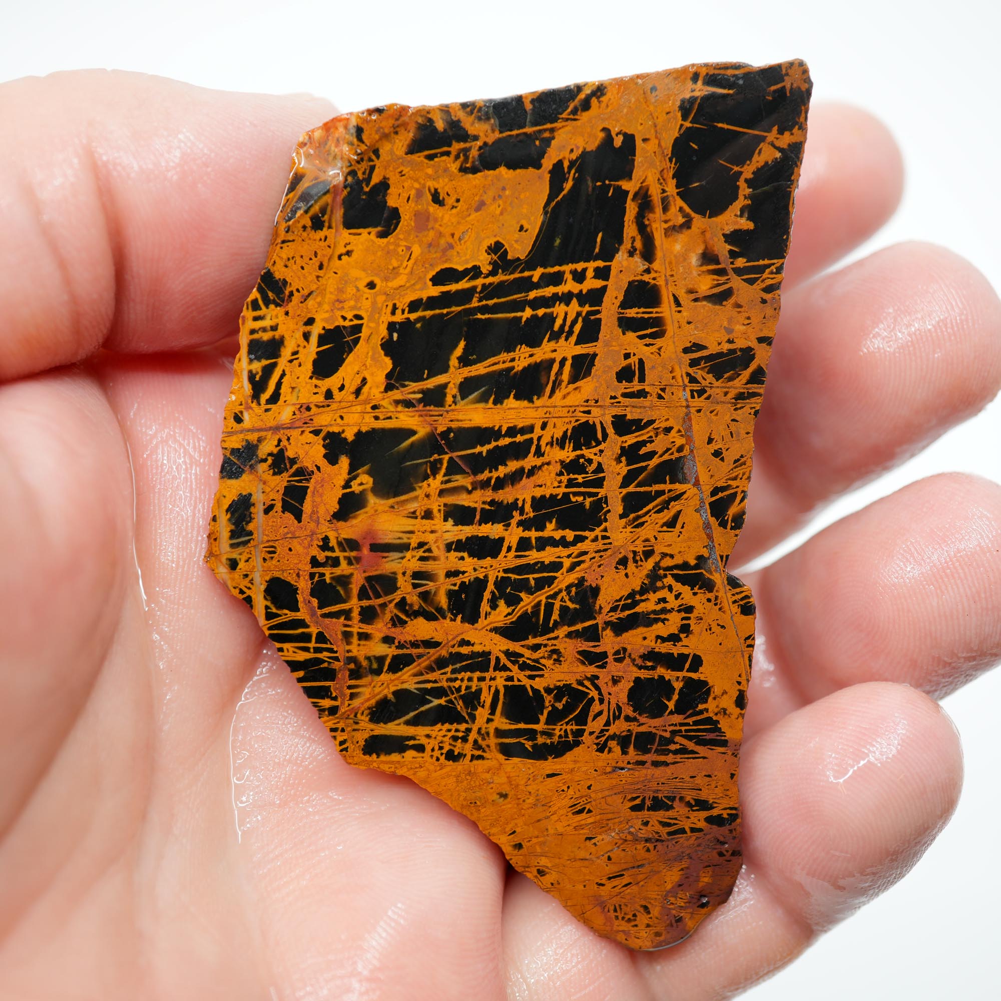Pilbara Jasper Endcut - High-Grade Pattern on Cut Face Display