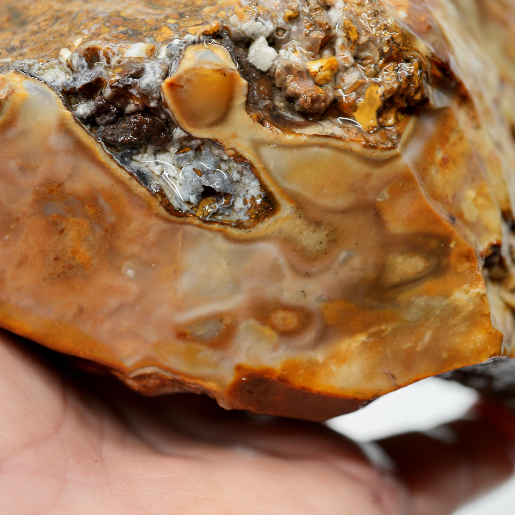 Paiute Jasper Rough - Old Stock Buckskin and Sunset with Smoky Tints