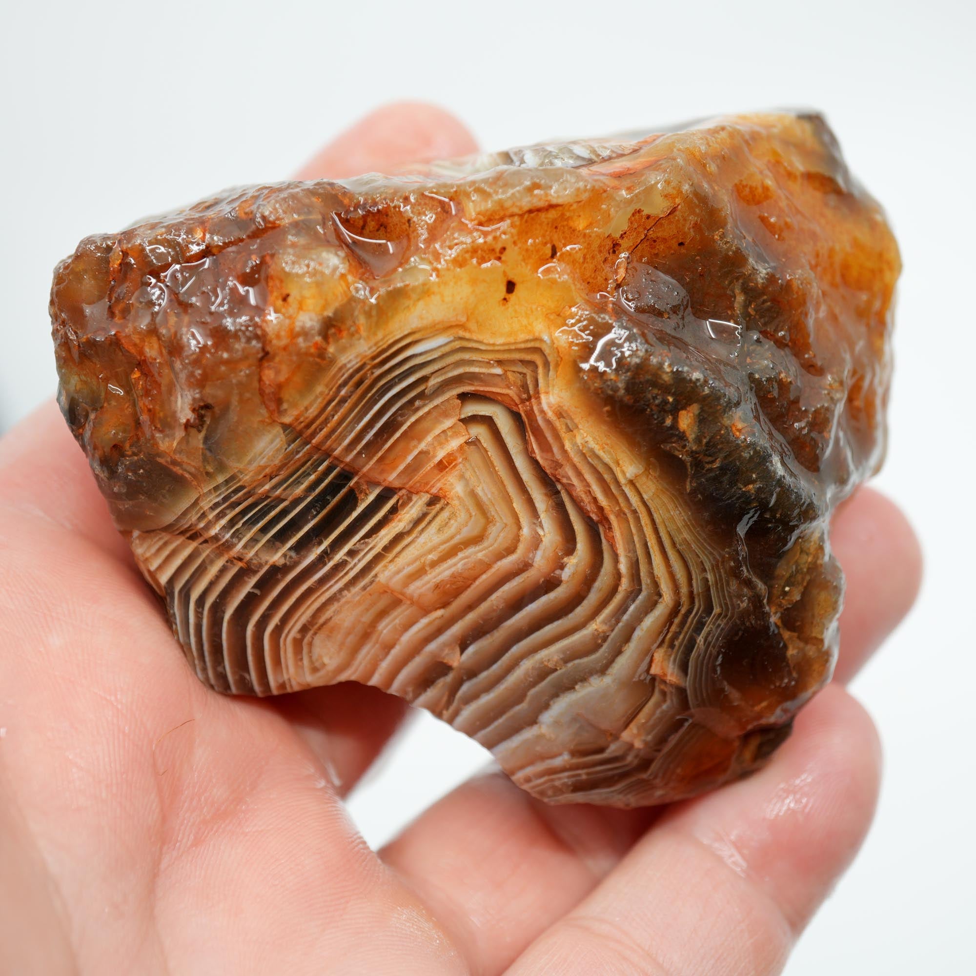 Botswana Agate Rough - Old Stock Fortification with Deep Blue Trimmer