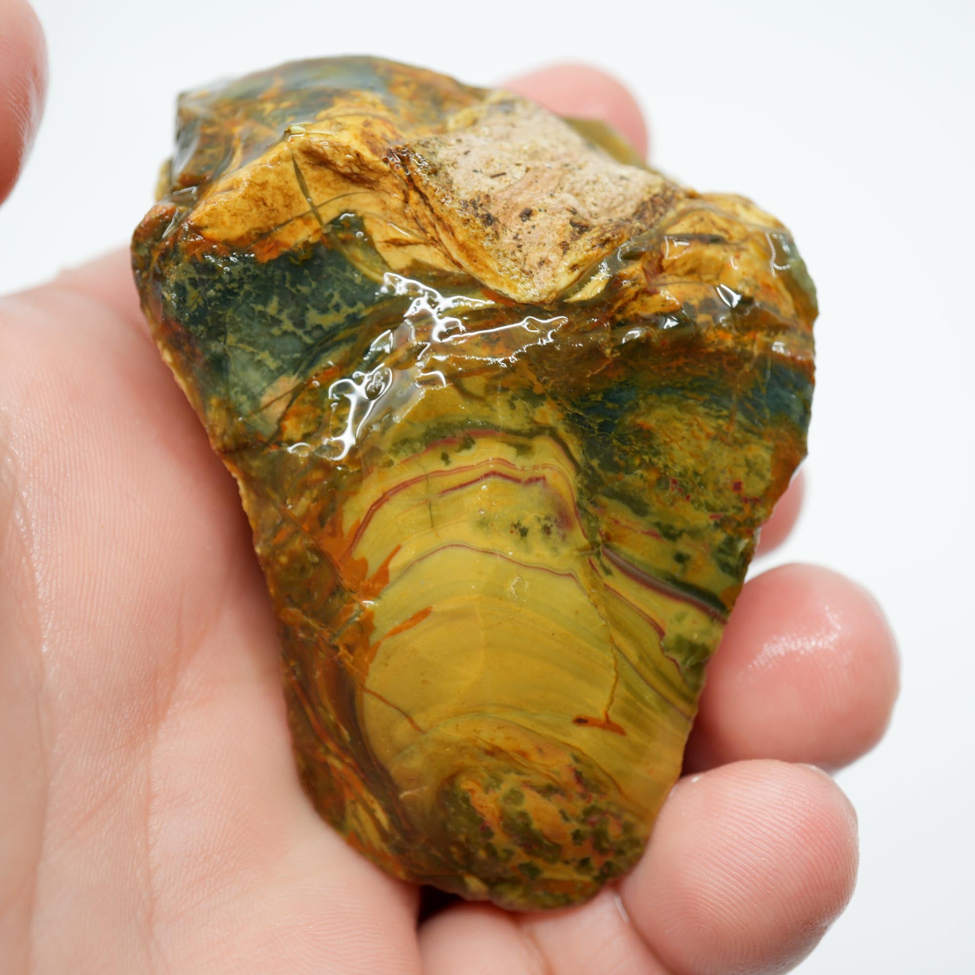 Morrisonite Jasper Rough Nodule - Half Orbicular Flowing Pattern Green Blue