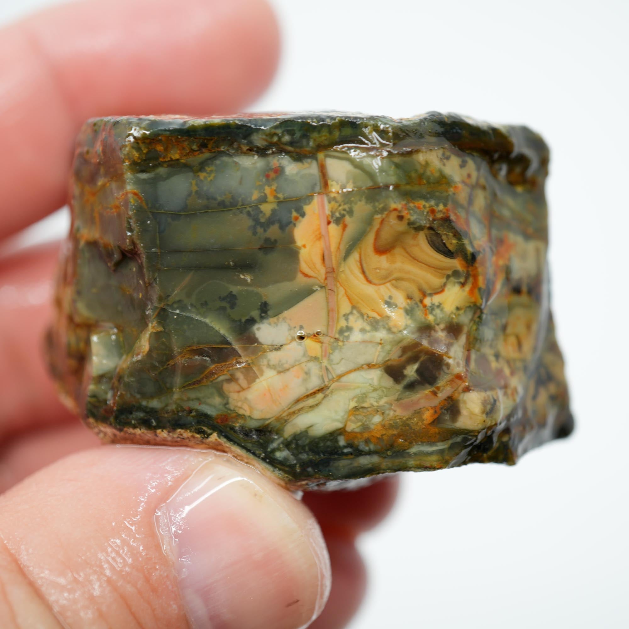 Morrisonite Jasper Rough - Great Pattern Trimmer with Partially Healed Fracture