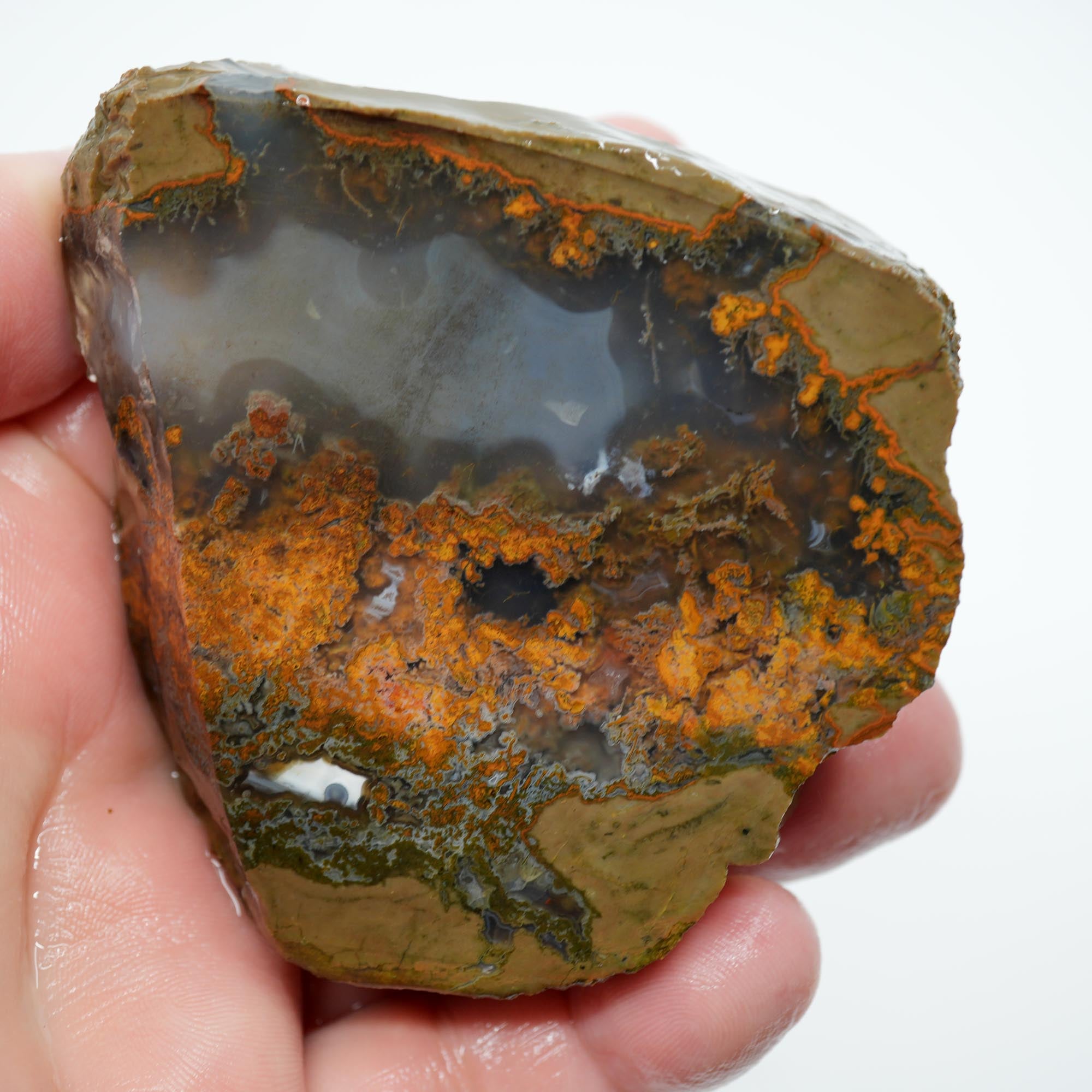 Old Stock Priday Moss Bed Thunderegg - Golden Moss Agate Skies
