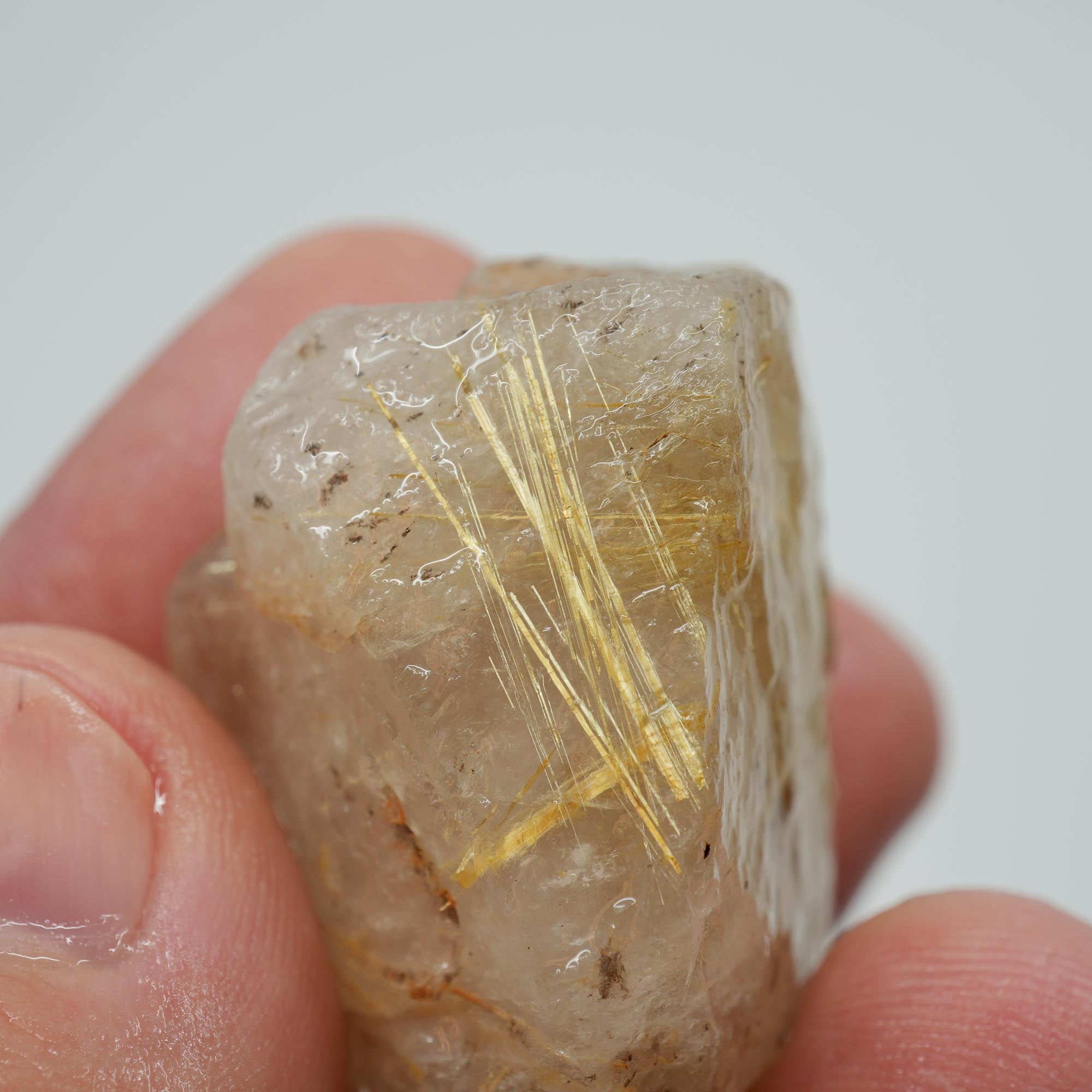 Rutilated Quartz - Golden Rutile Needles - Brazilian Crystal Specimen
