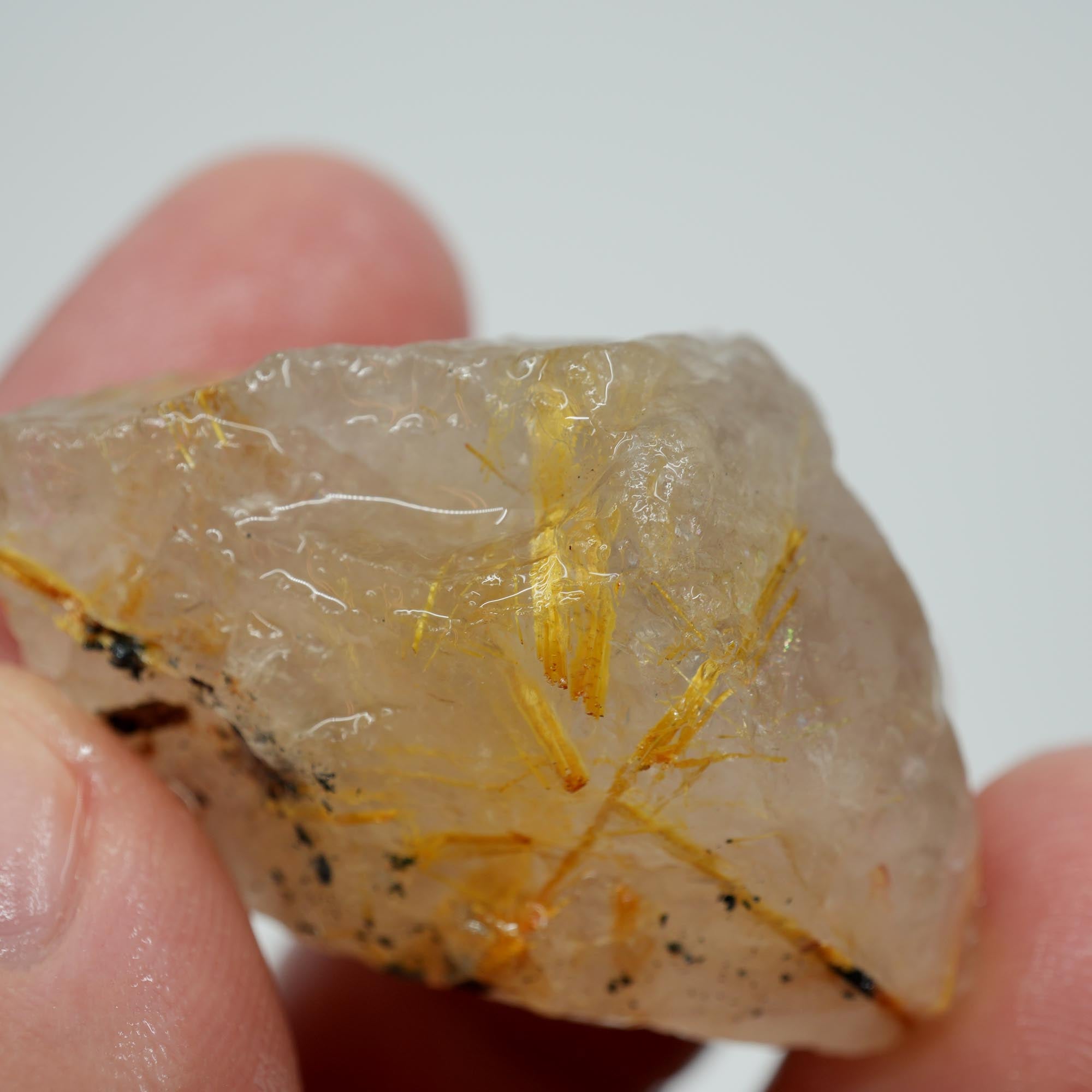Rutilated Quartz - Angel's Hair Quartz - Brazil Crystal Specimen
