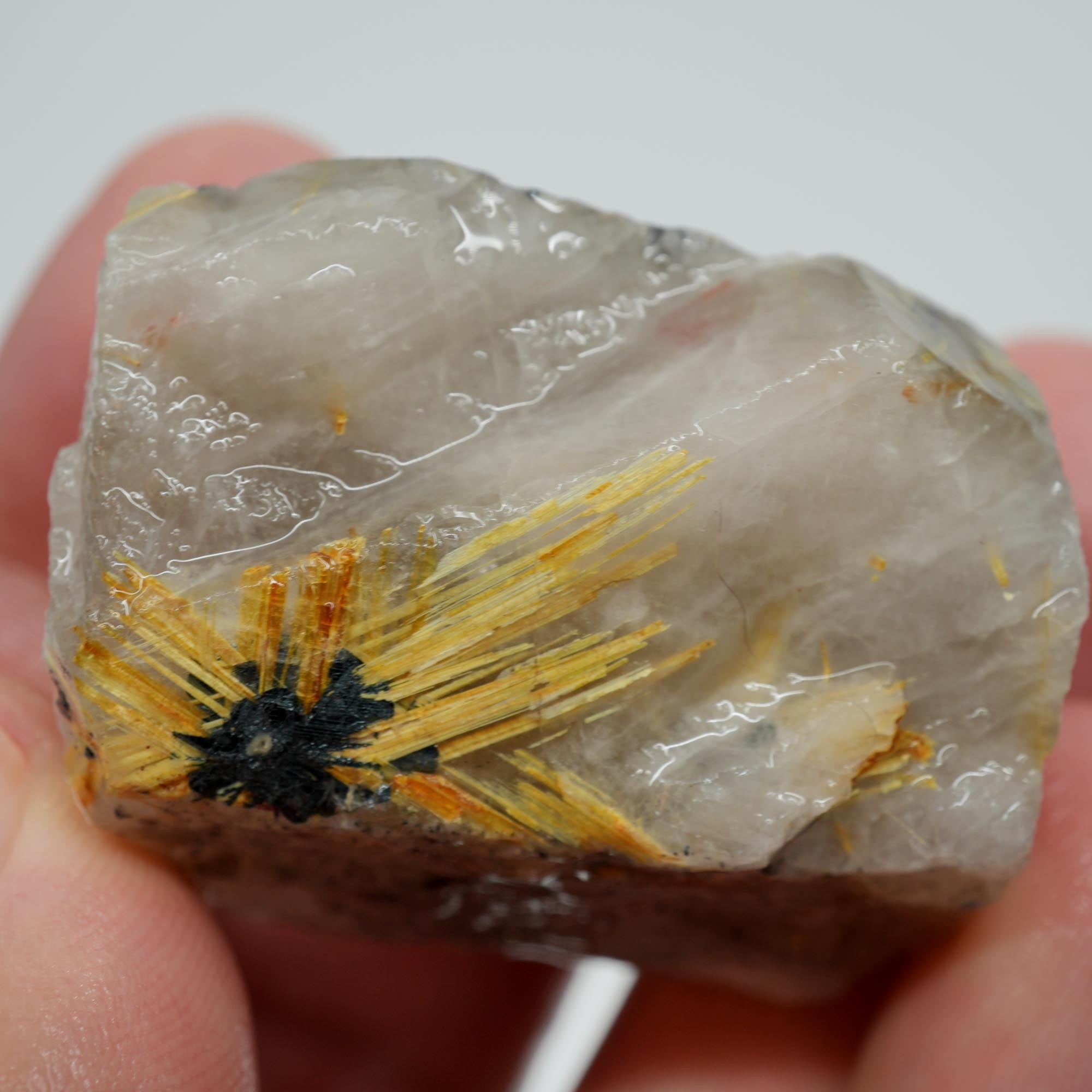 Rutilated Quartz - Golden Needles in Quartz - Brazil Specimen