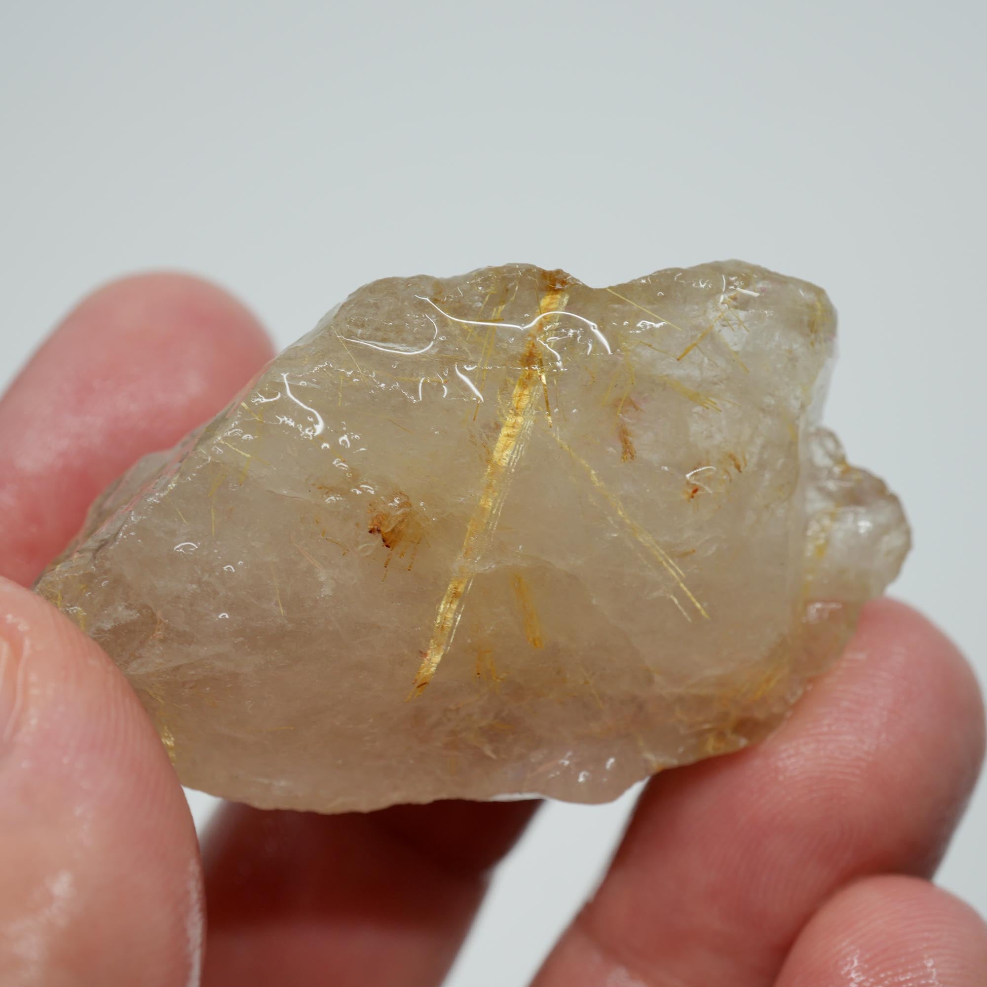 Rutilated Quartz - Rutile Needle Inclusions - Brazilian Specimen