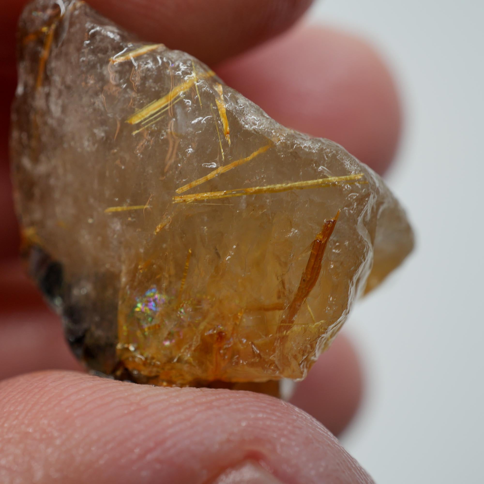 Rutilated Quartz - Golden Needle Quartz Crystal - Brazil Specimen