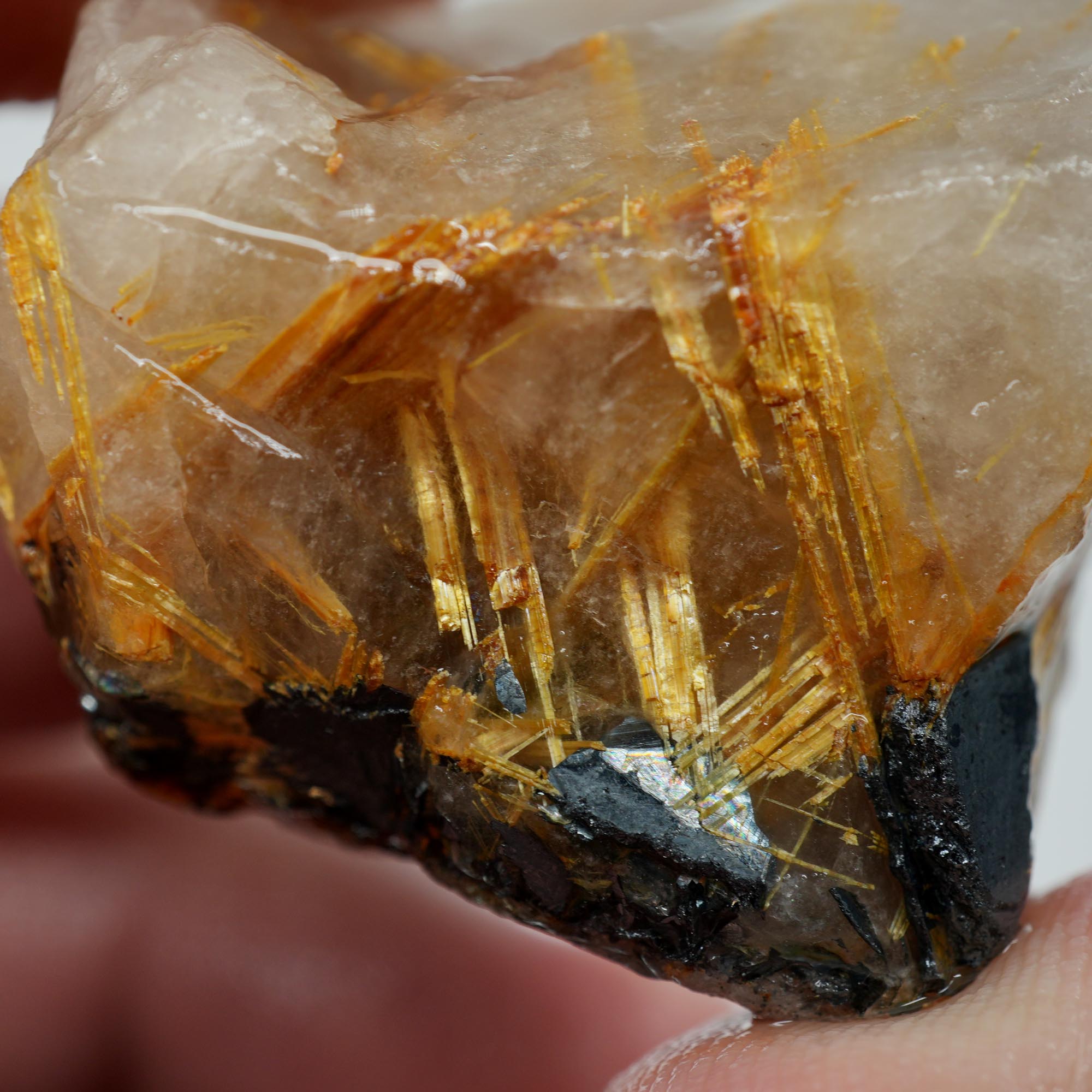 Rutilated Quartz - Fine Rutile Needles - Brazilian Crystal Specimen