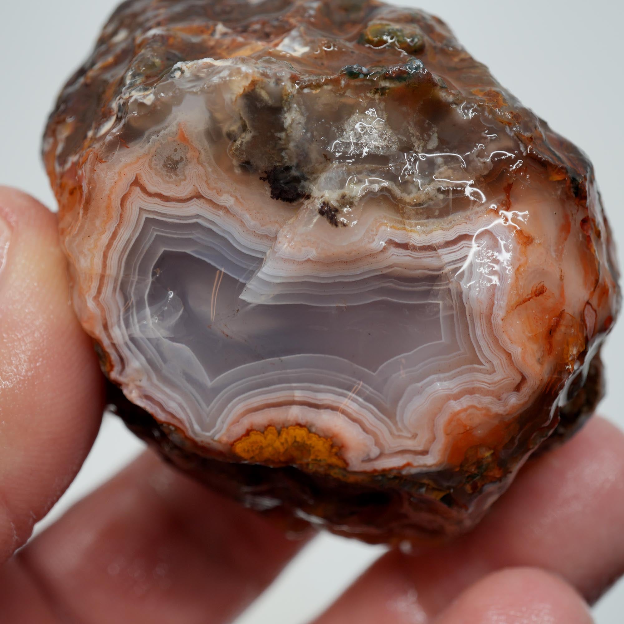 Agua Nueva Agate Rough - High-Grade Nodule Blue and Pink Fortification