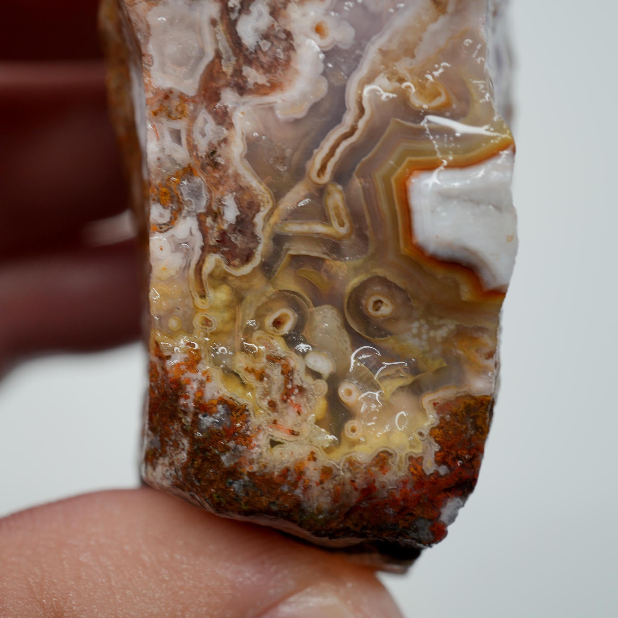 Agua Nueva Agate Rough - Flowing Purple Moss Agate Scene Trimmer