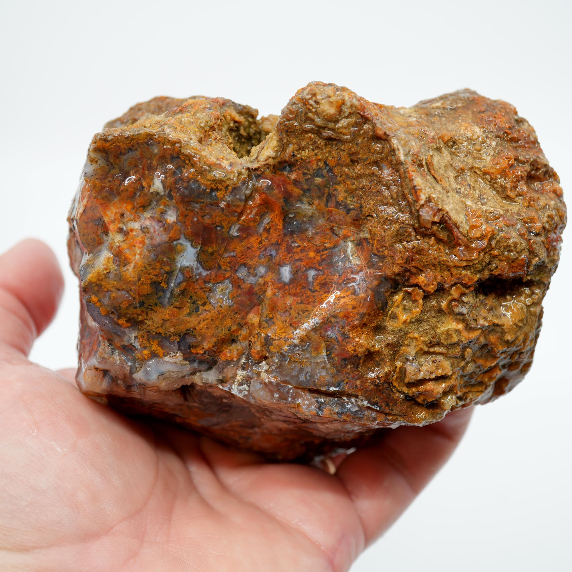 San Carlos Agate Rough - Multi Color Moss Cutter