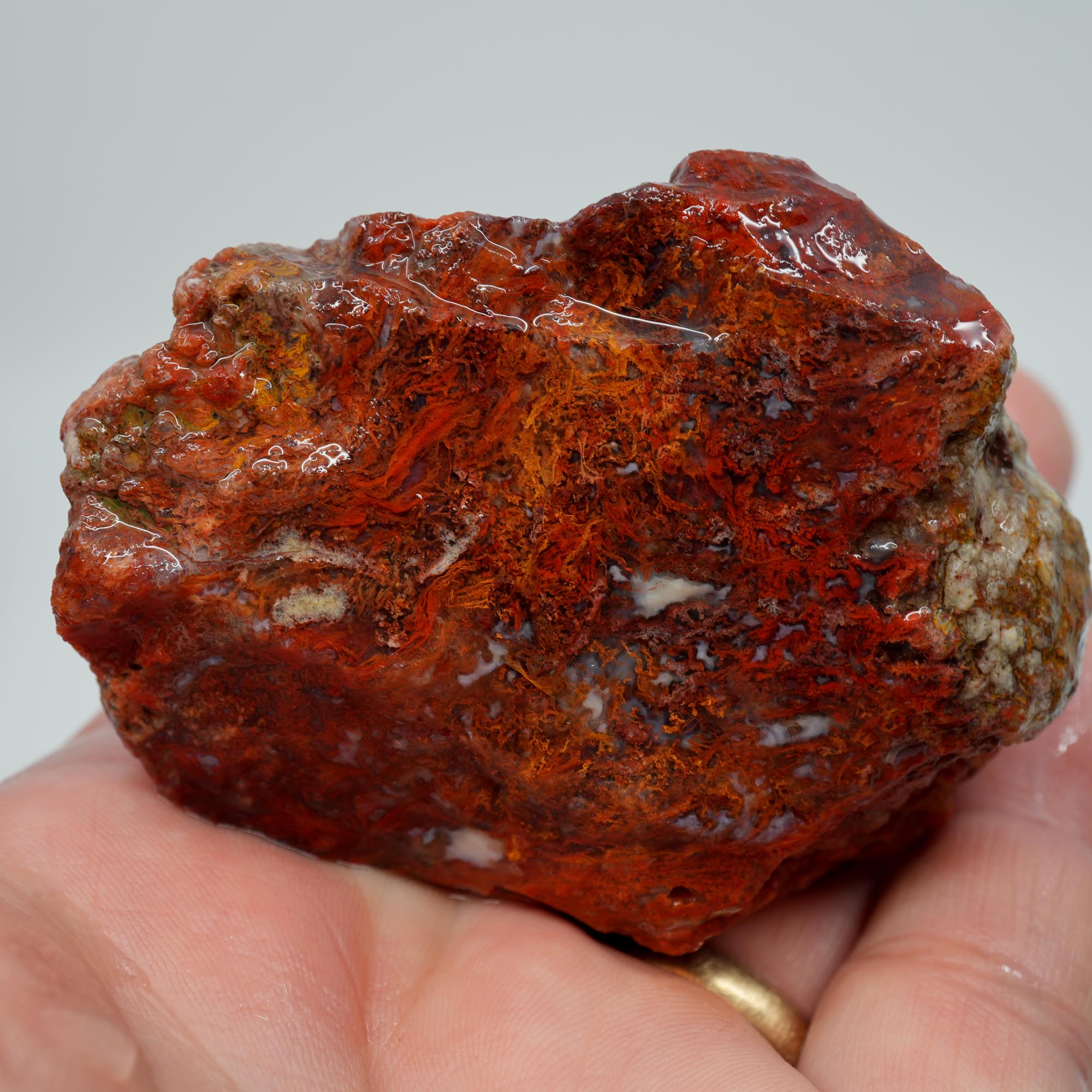 San Carlos Agate Rough - Well Defined Red Moss Trimmer