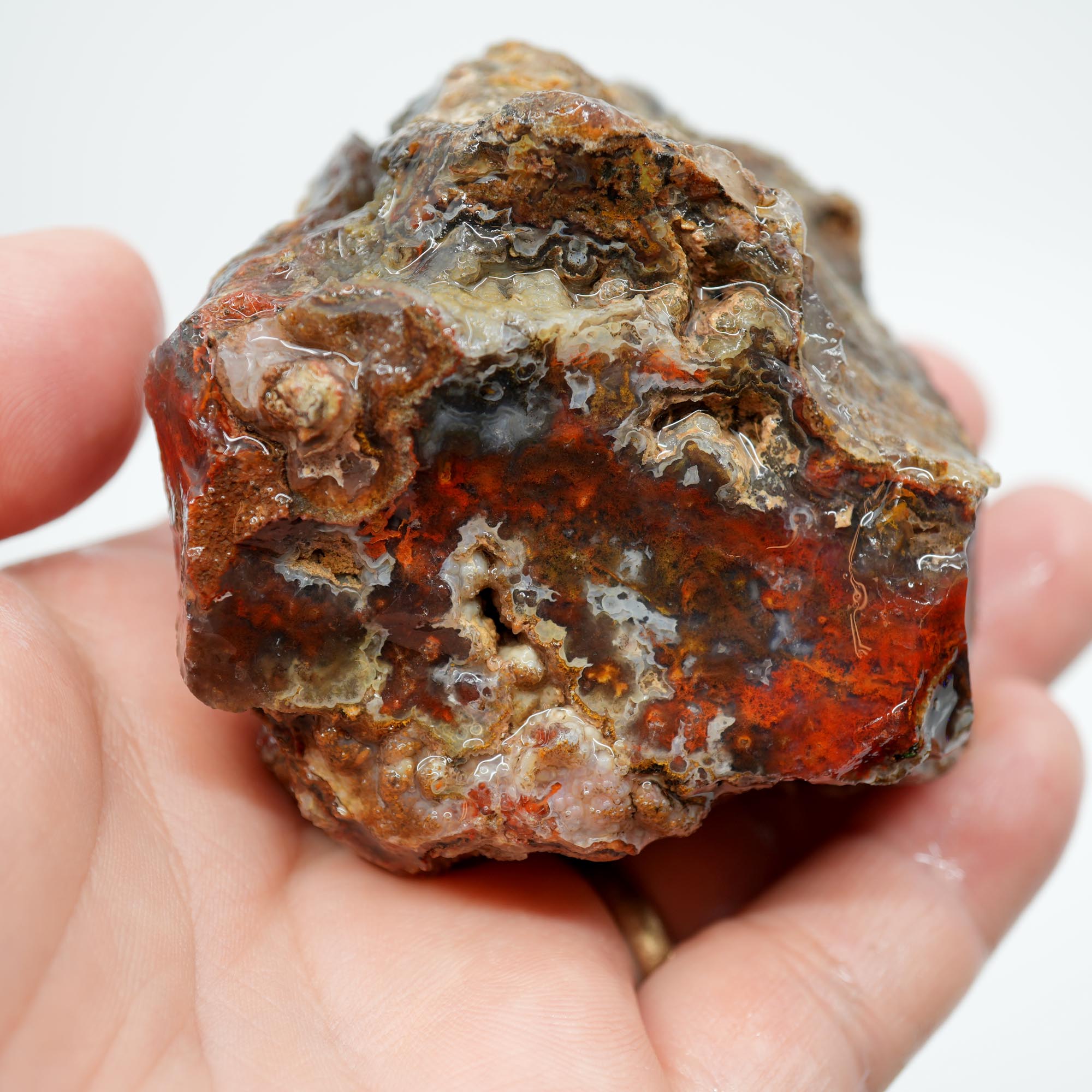 San Carlos Agate Rough - High Contrast Red Moss on Midnight Sky