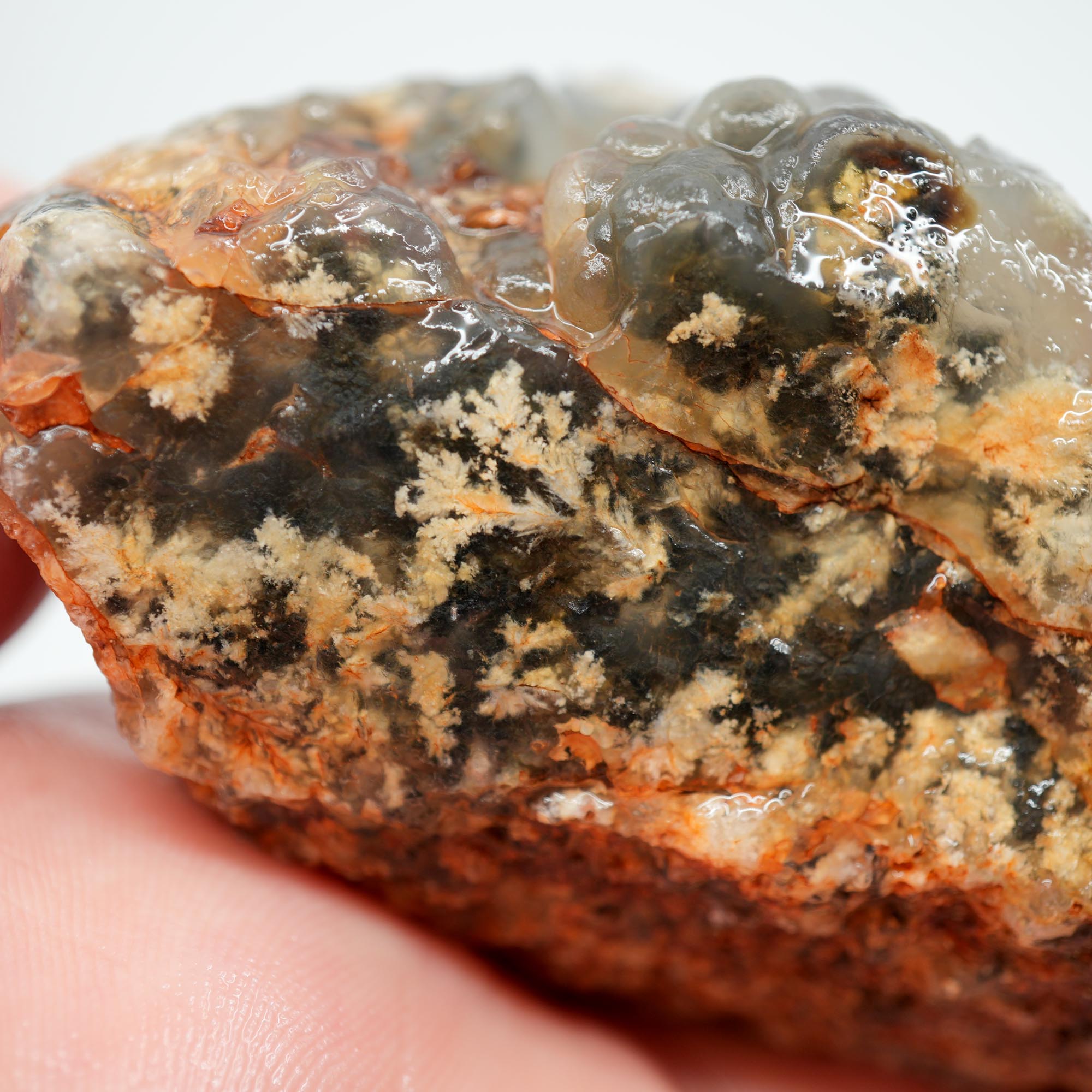 Ojinaga Plume Agate Rough - Wintry White Plume with Botryoidal Top