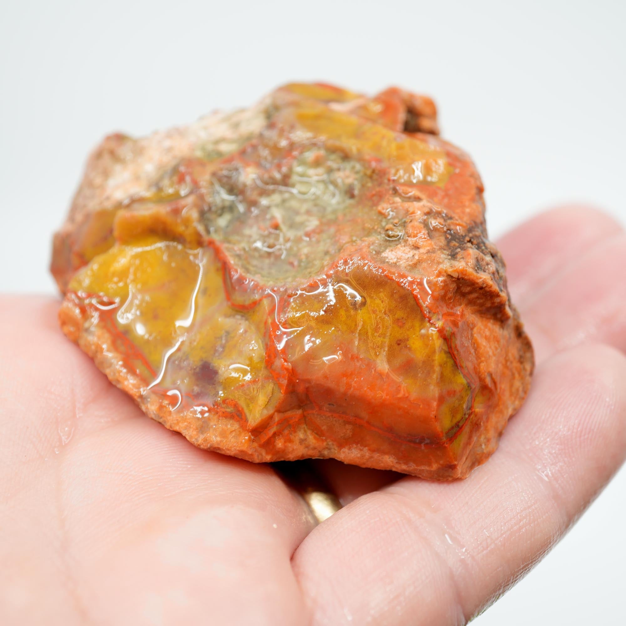 Alabama Paint Agate Rough - Creamy Butterscotch with Red Orb Lines