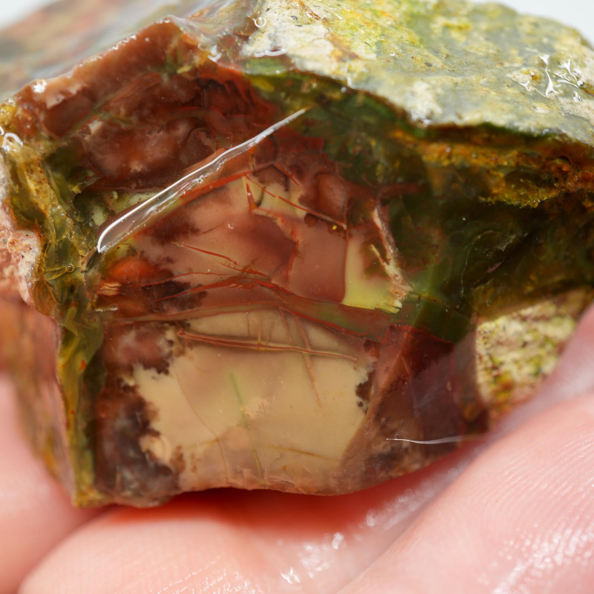 Morrisonite Jasper Rough - Original Digs Trimmer Purple and Green