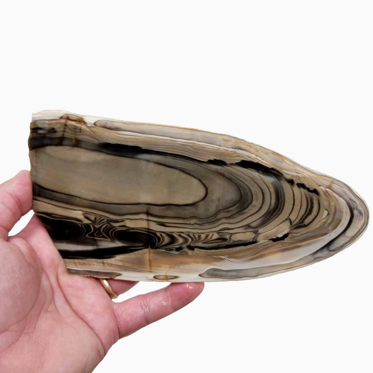 RARE Polish Flint Lapidary Stone Slab!