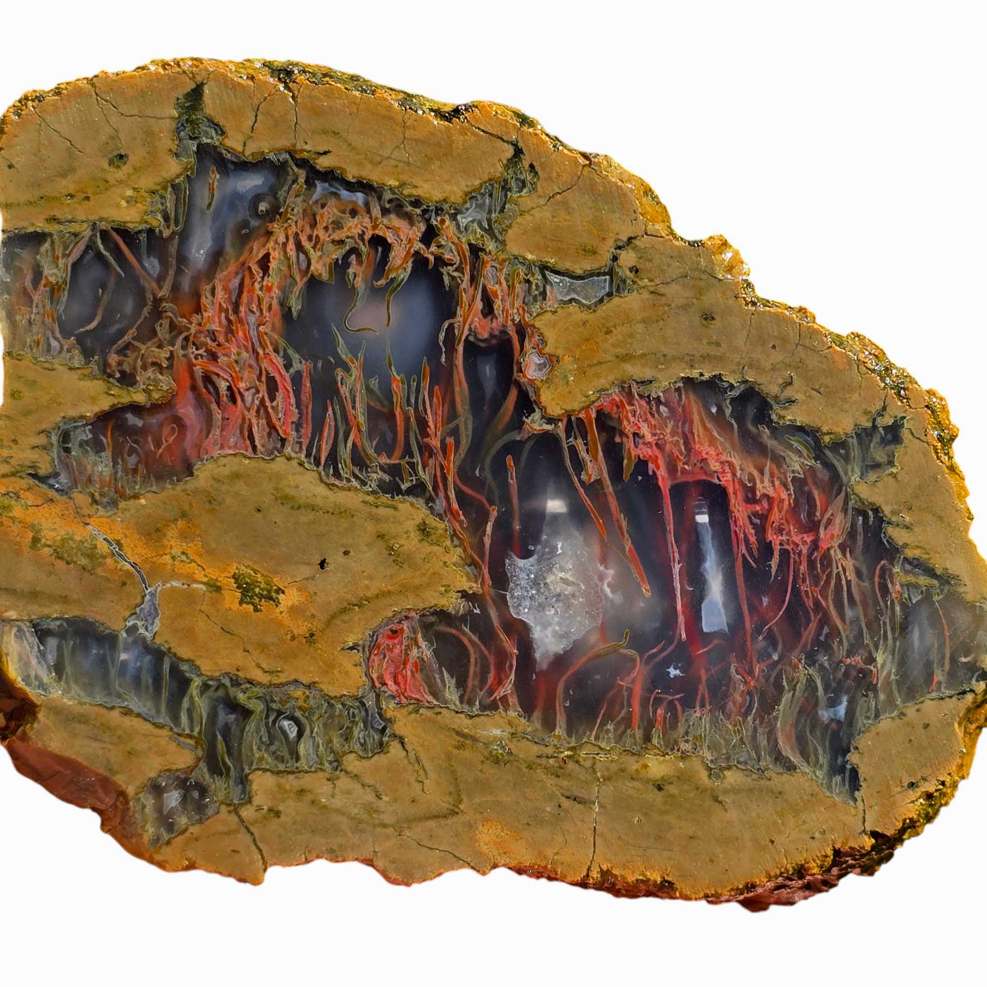 Priday Moss Bed Egg Rough Chunk Lapidary Stone Cut Face