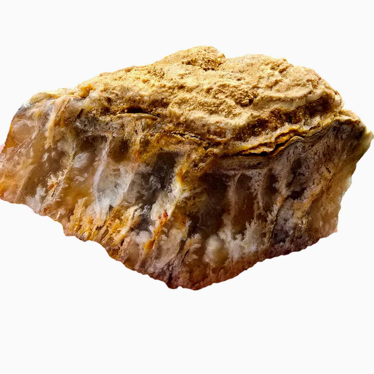 Regency Rose Plume Agate Lapidary Cutting Rough Chunk