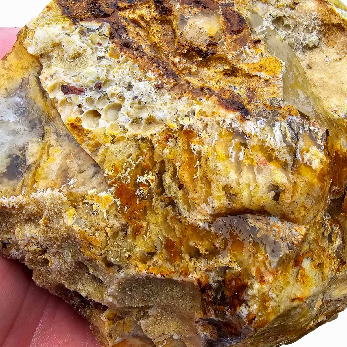 Regency Rose Plume Agate Lapidary Cutting Rough Chunk