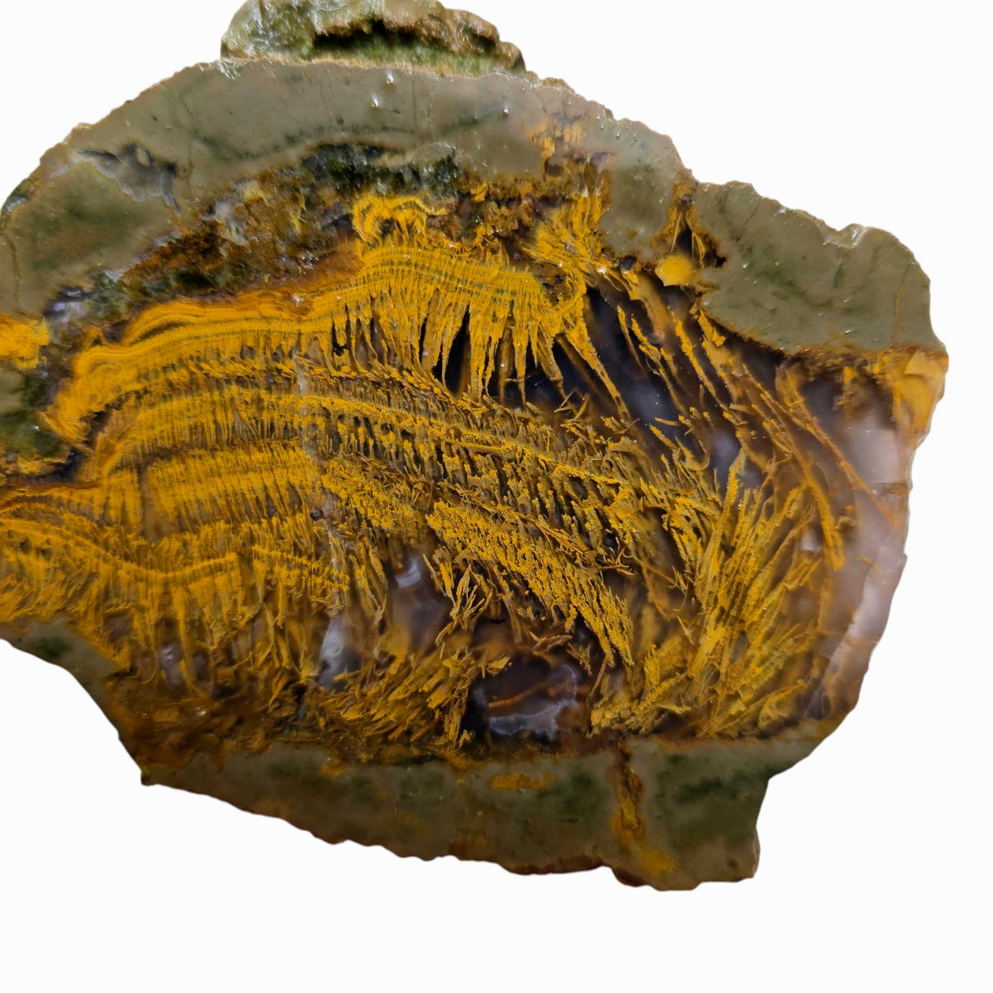 Priday Moss Bed Egg Rough Chunk Lapidary Stone Cut Face