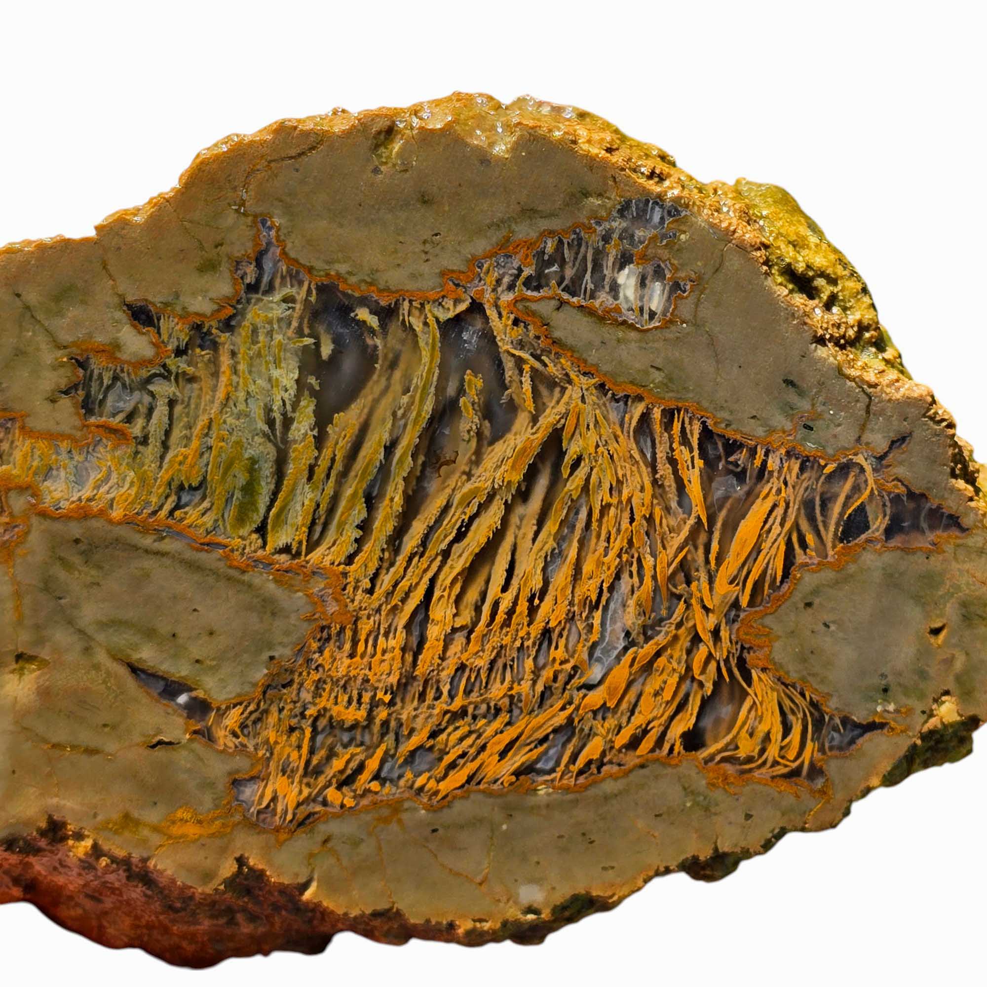 Priday Moss Bed Egg Rough Chunk Lapidary Stone Cut Face