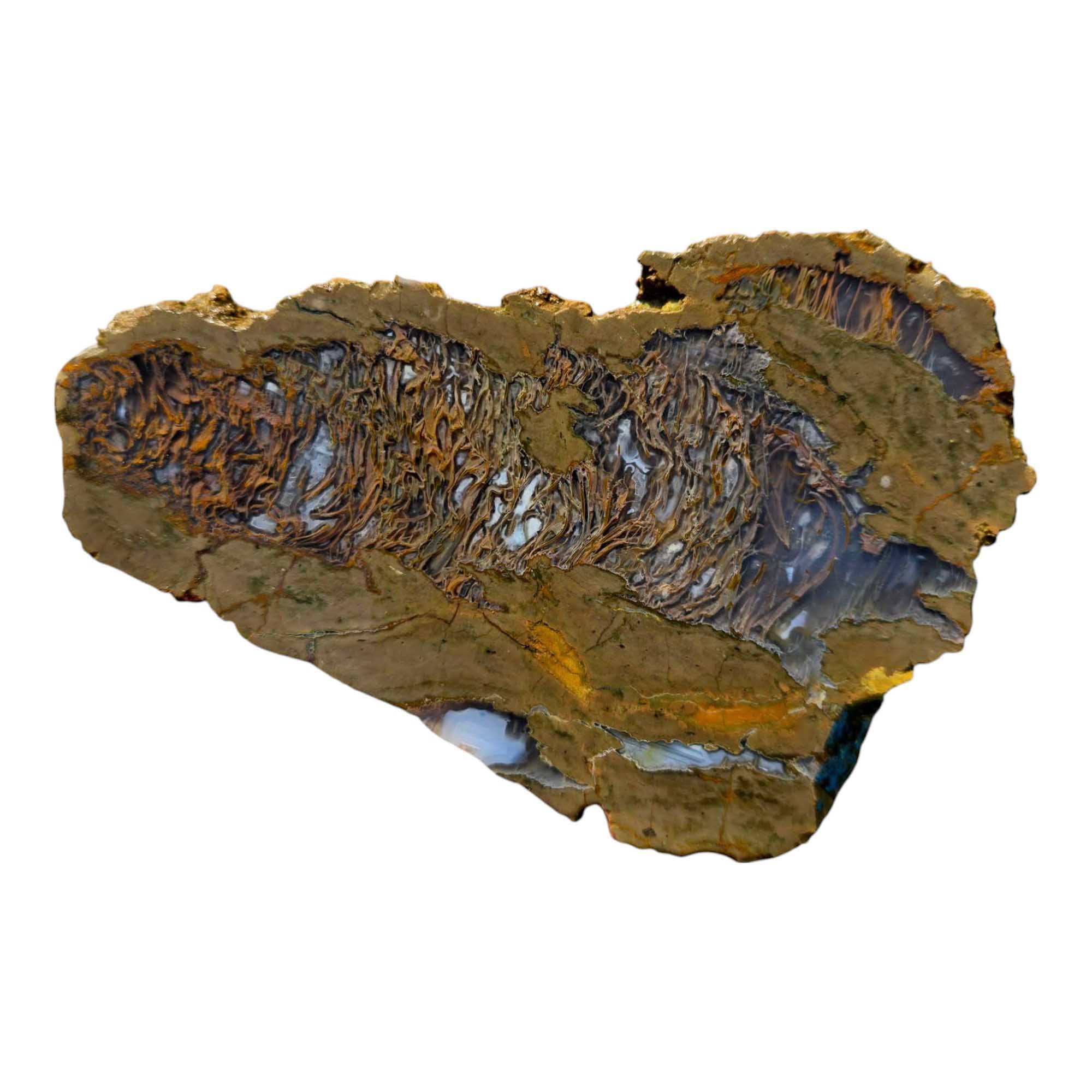 Priday Moss Bed Egg Rough Chunk Lapidary Stone Cut Face