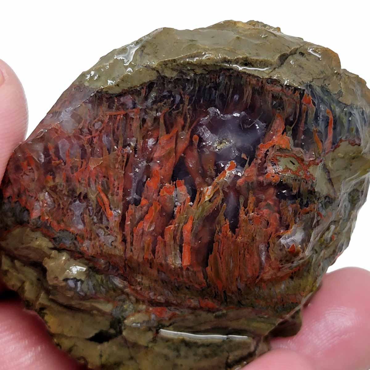 Priday Moss Bed Egg Rough Chunk!