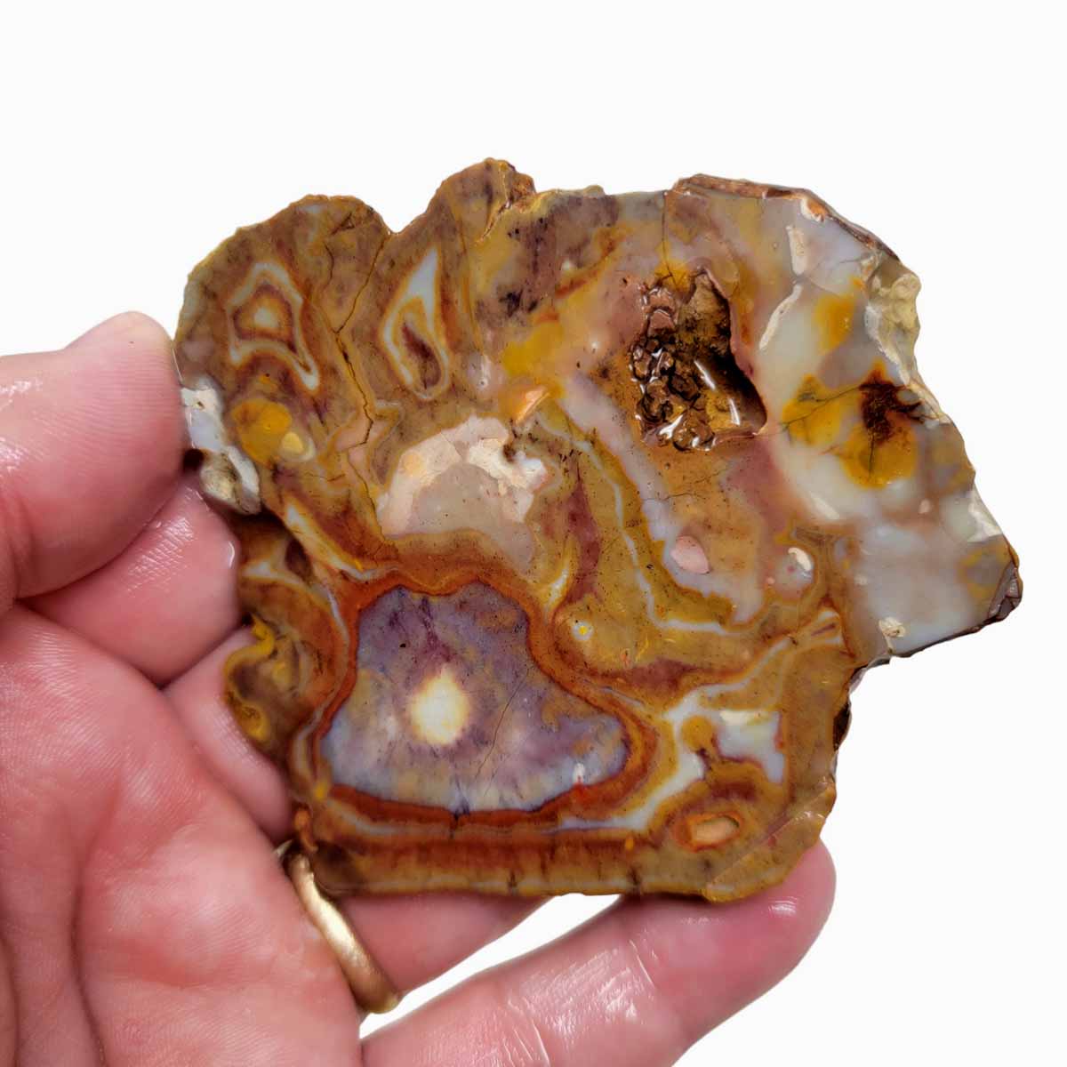 Rooster Tail Jasper Slab! Lapidary Stone Slab!