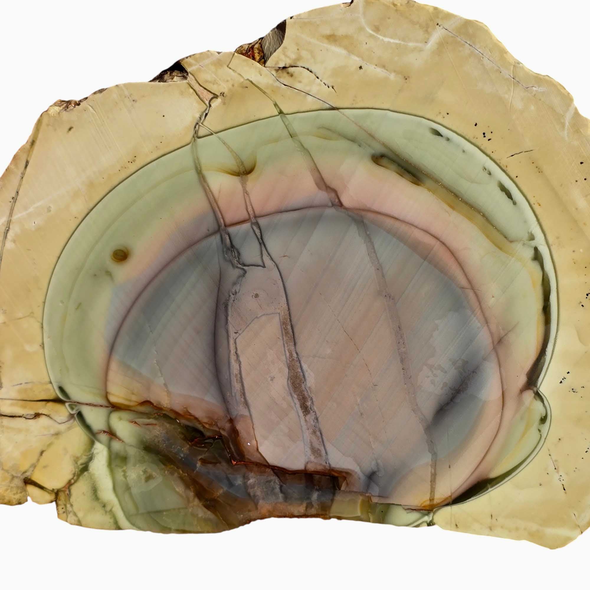 Royal Imperial Jasper Slab Lapidary Stone Slice Cut Rock