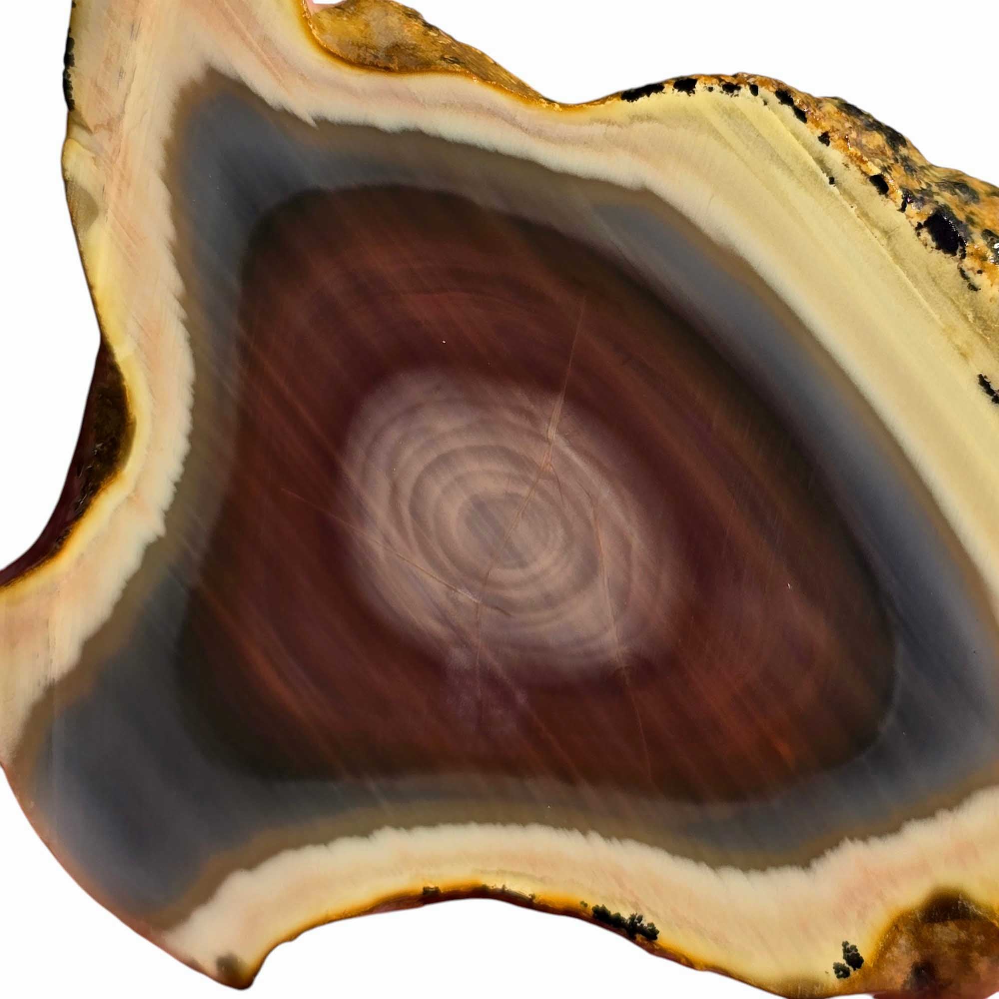 Royal Imperial Jasper Slab Lapidary Stone Slice Cut Rock