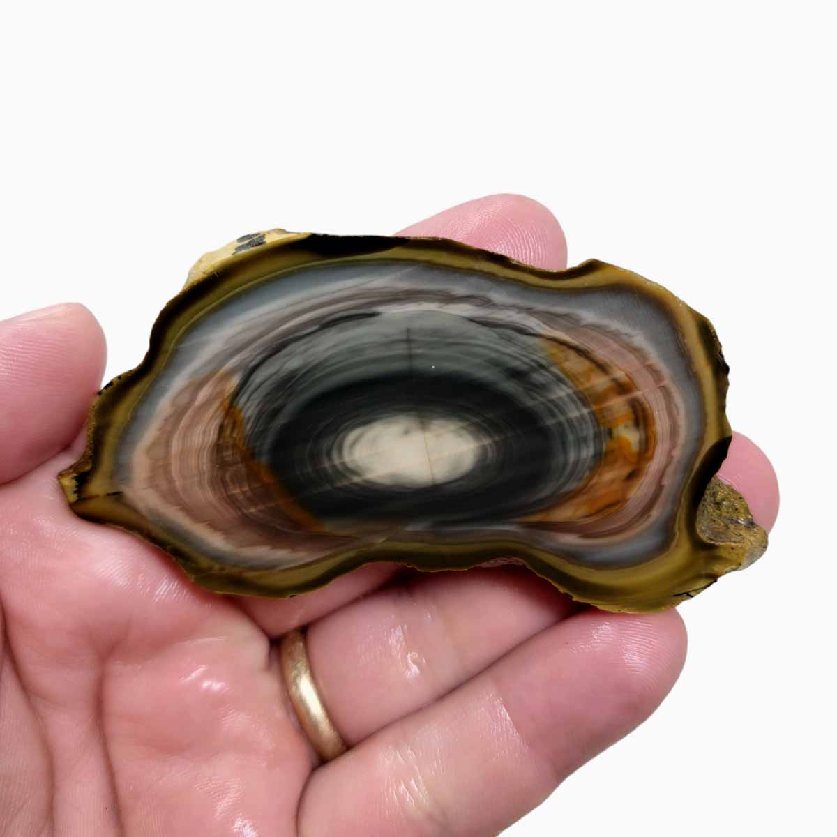 Royal Imperial Jasper Slab! Lapidary Stone Slab!