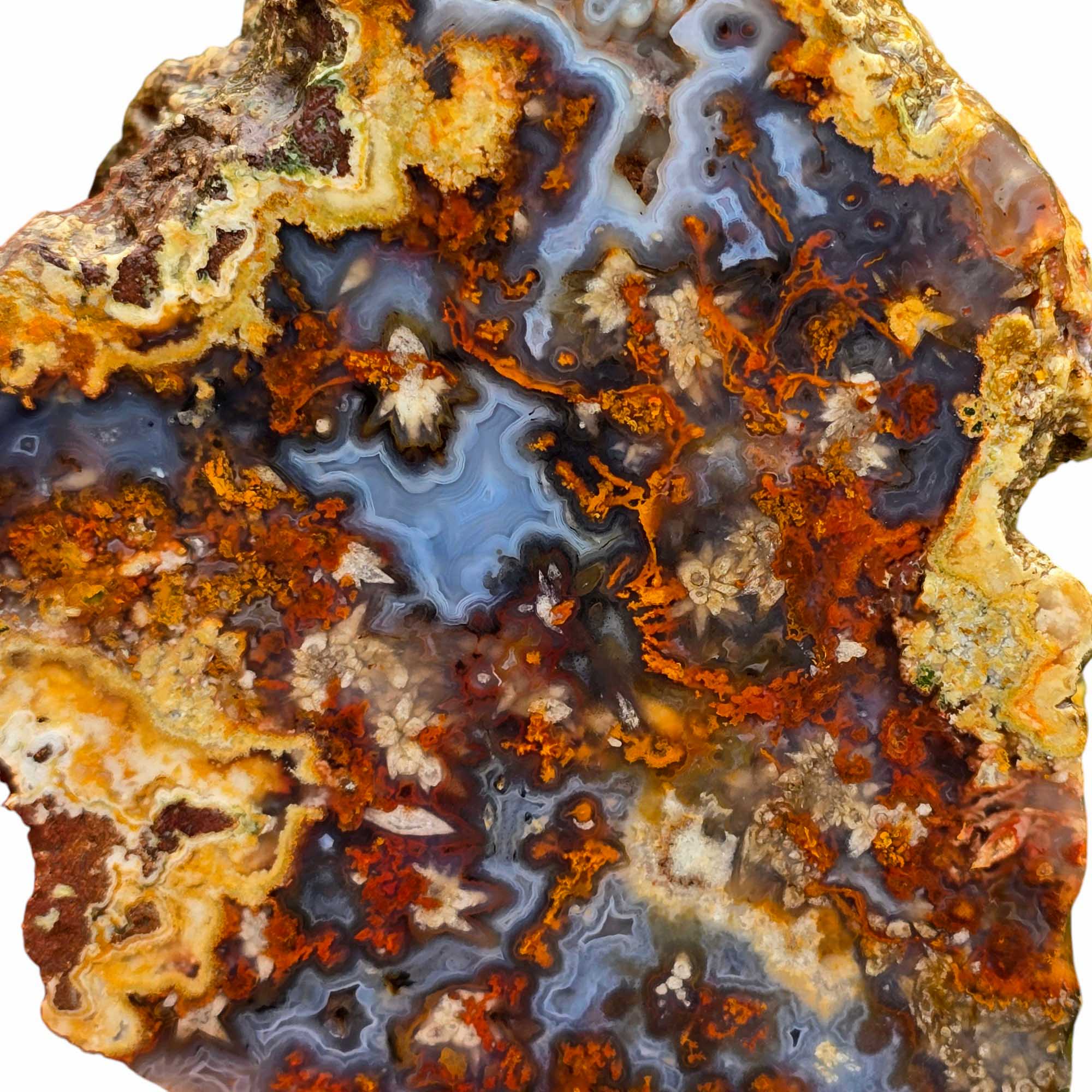 San Carlos Moss Agate Lapidary Cutting Rough Chunk Stone Cut Face