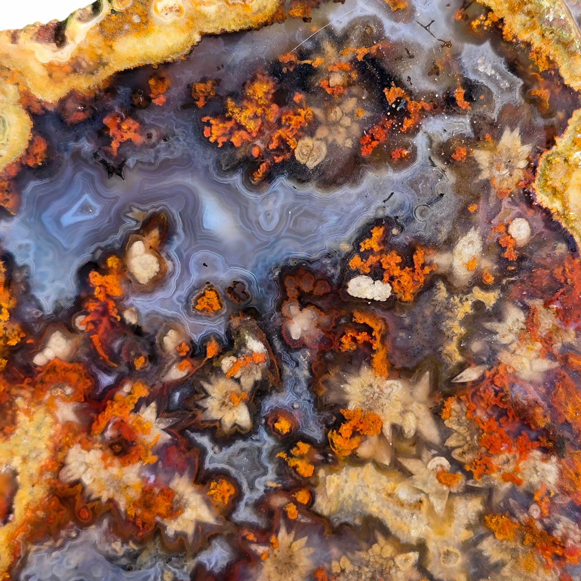 San Carlos Agate Slab Lapidary Stone Slice Cut Rock