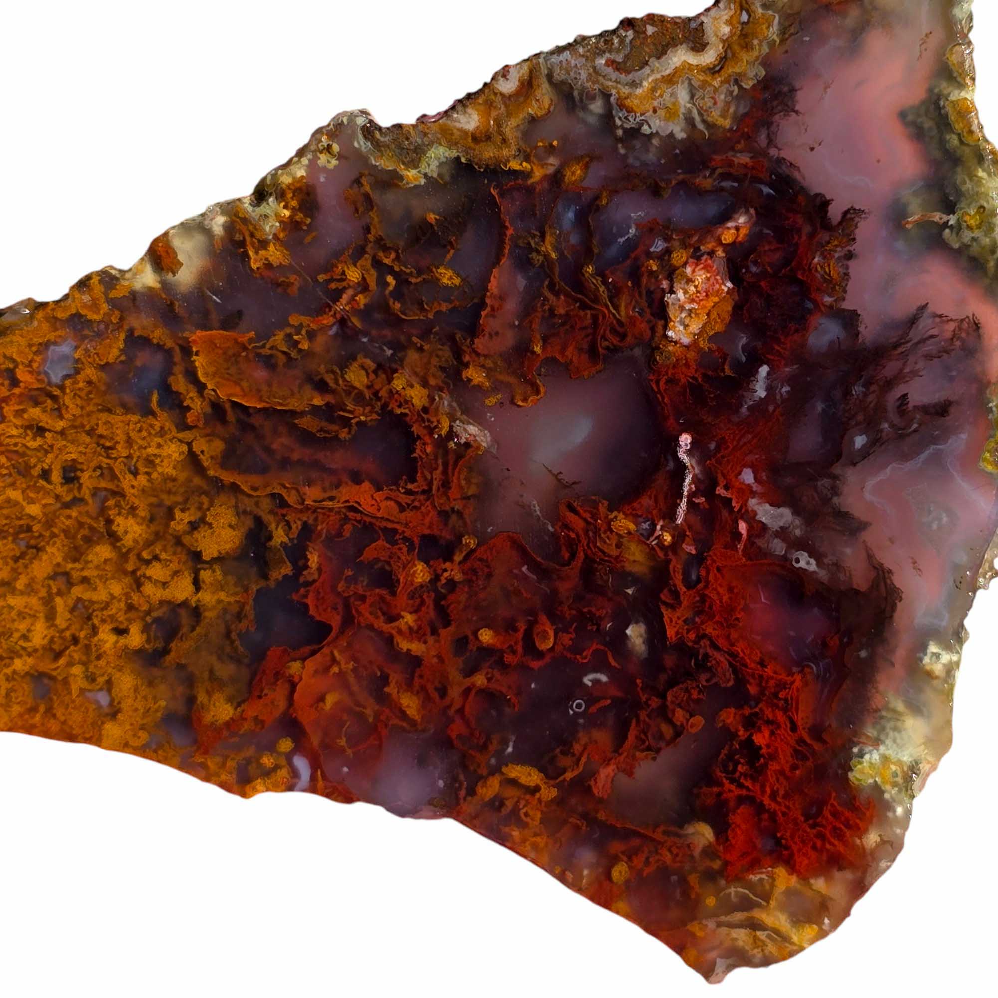 San Carlos Agate Slab Lapidary Stone Slice Cut Rock
