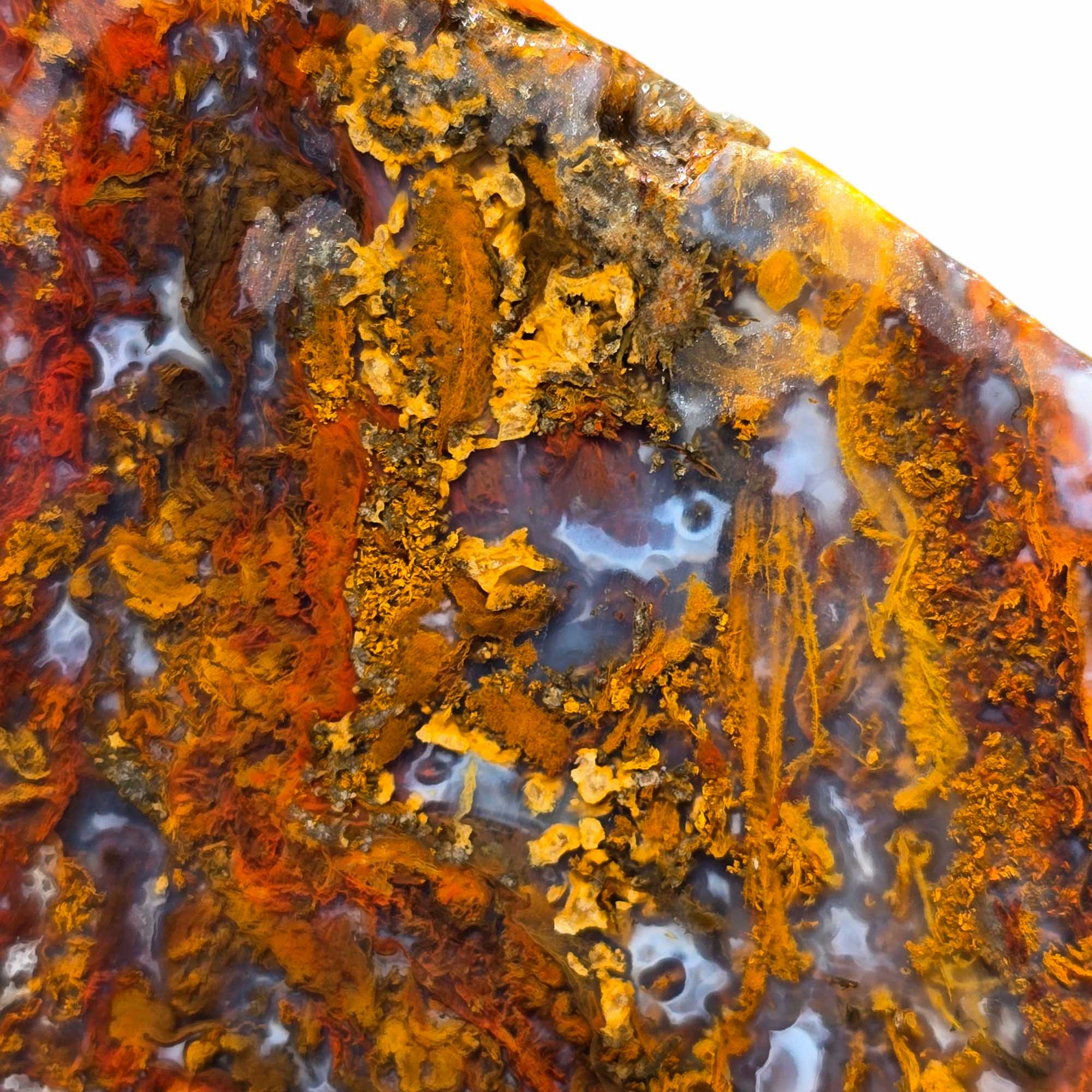 San Carlos Agate Slab Lapidary Stone Slice Cut Rock