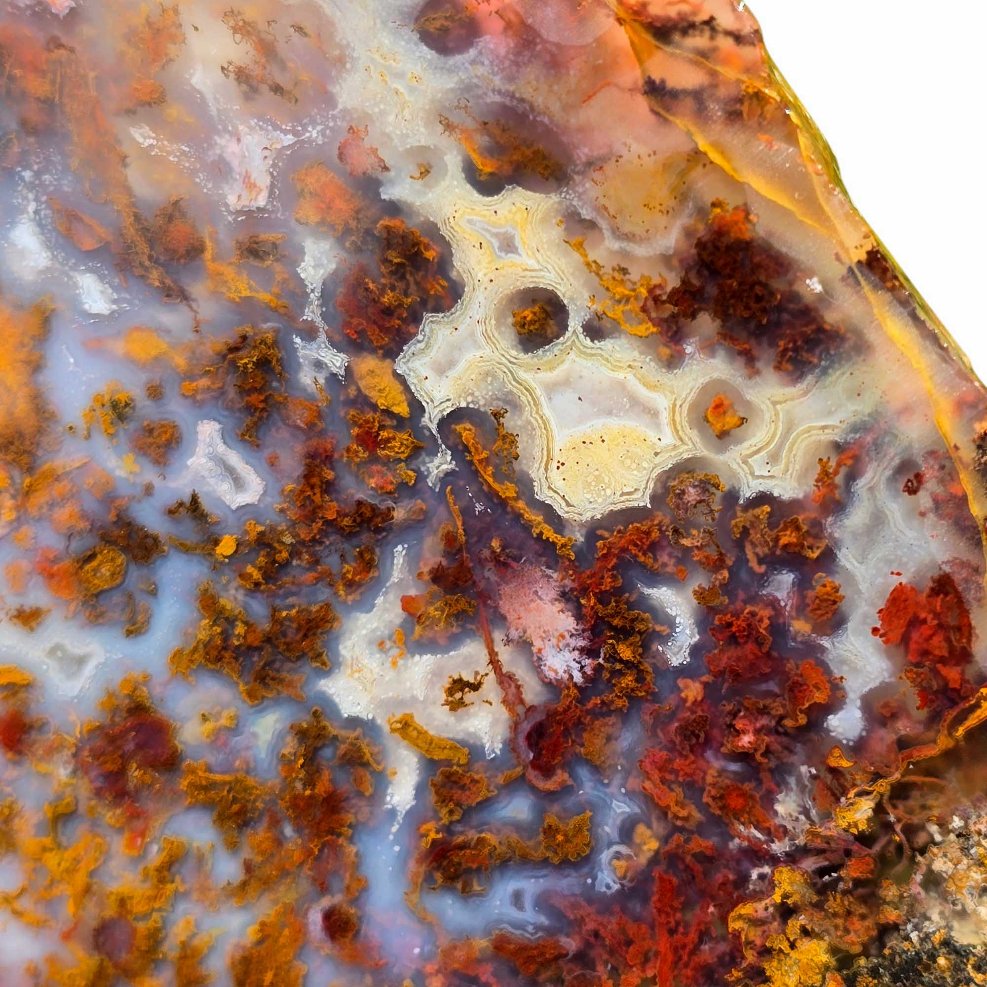 San Carlos Agate Slab Lapidary Stone Slice Cut Rock