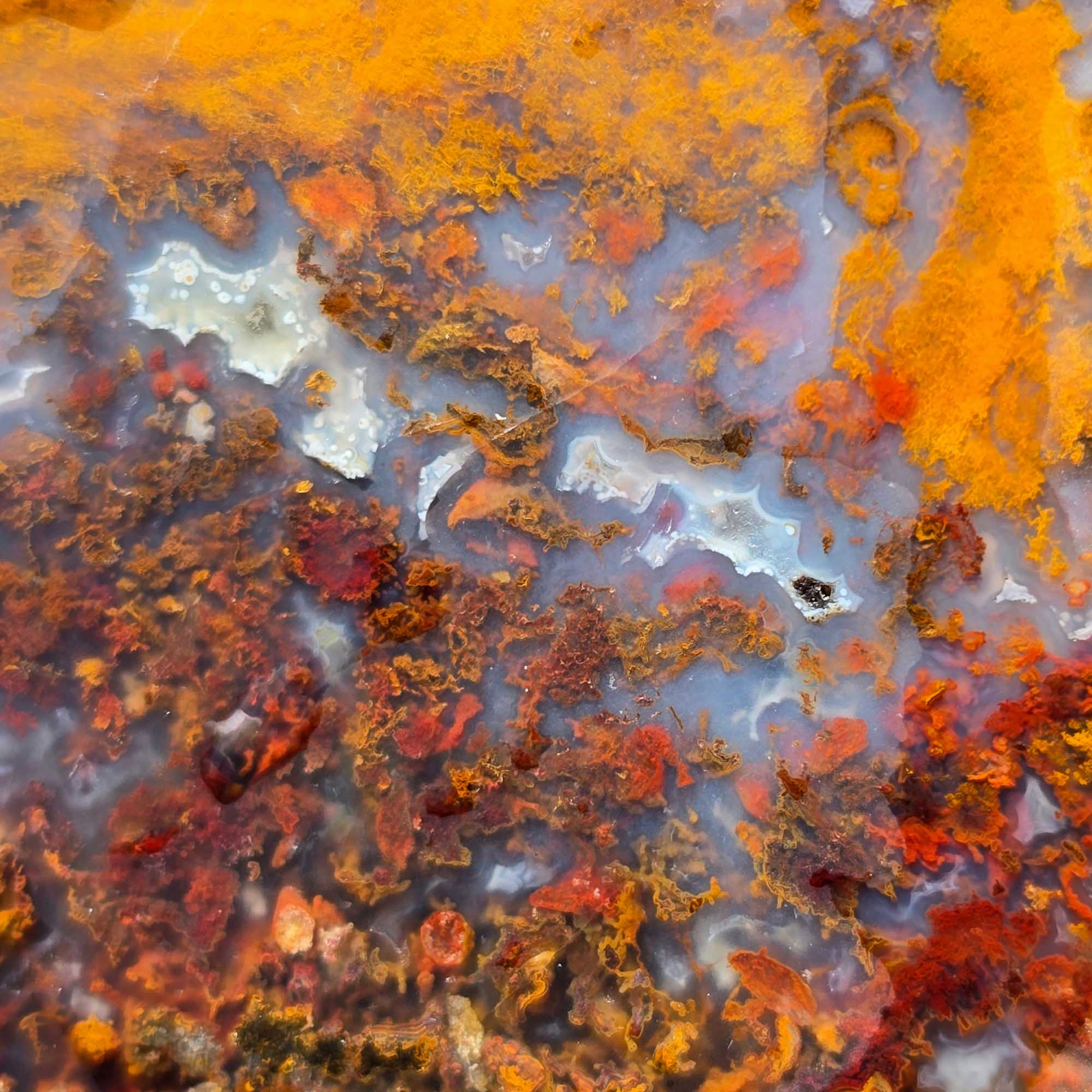 San Carlos Agate Slab Lapidary Stone Slice Cut Rock