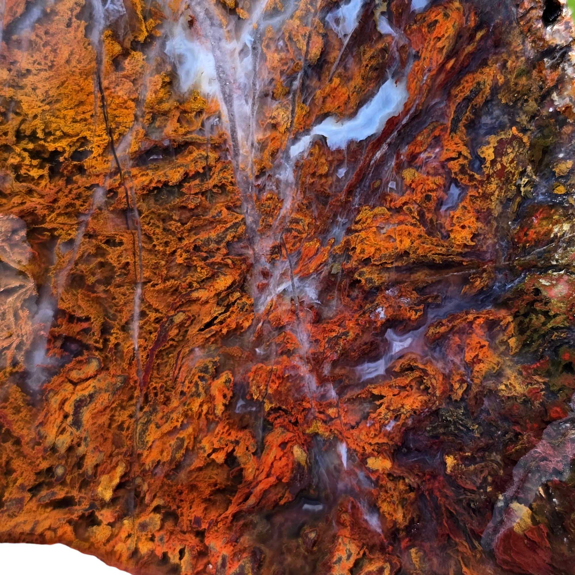 San Carlos Agate Slab Lapidary Stone Slice Cut Rock