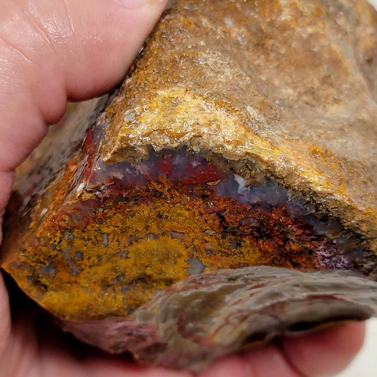 San Carlos Moss Agate Rough Chunk!