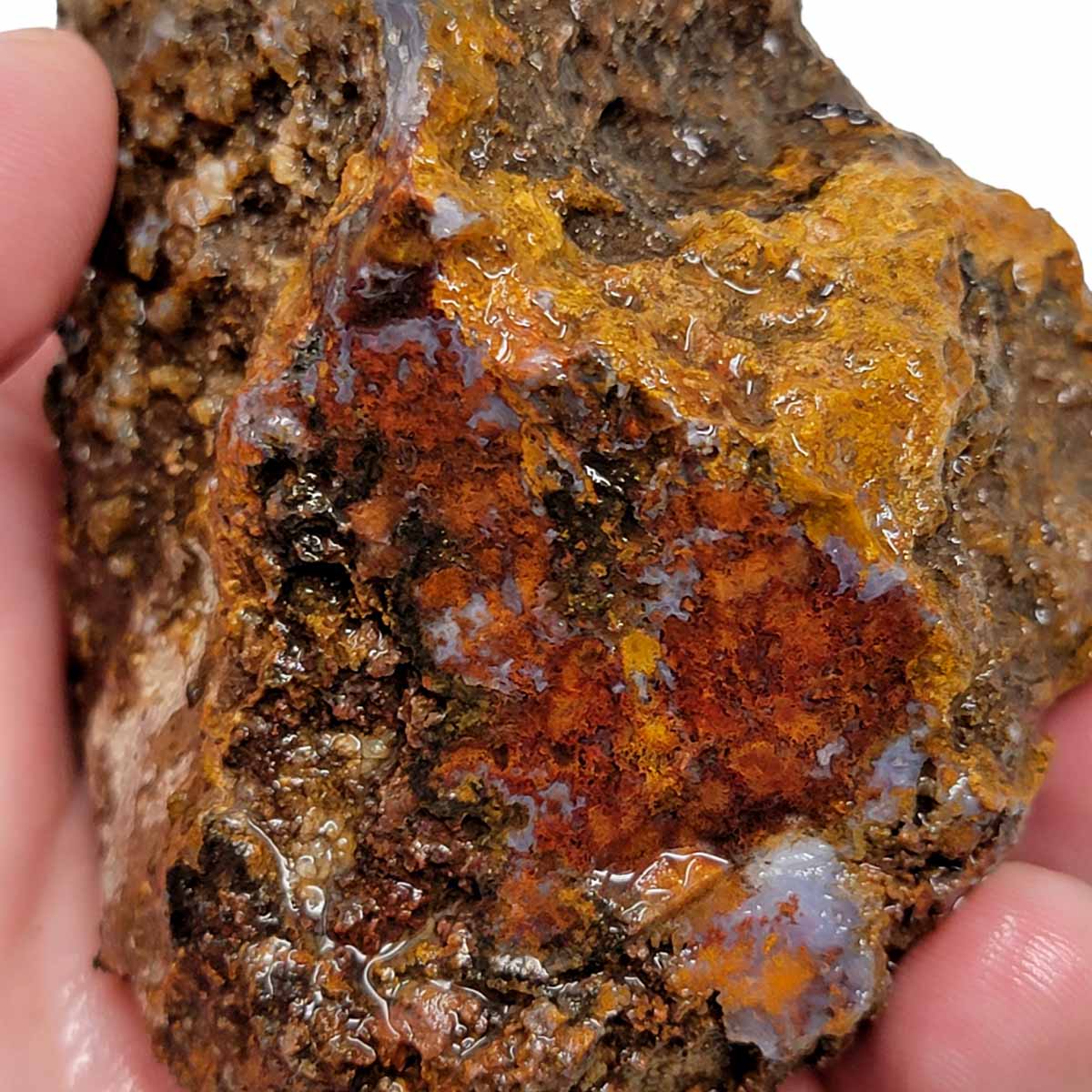 San Carlos Moss Agate Rough Chunk!