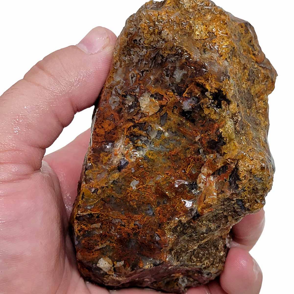 San Carlos Moss Agate Rough Chunk!